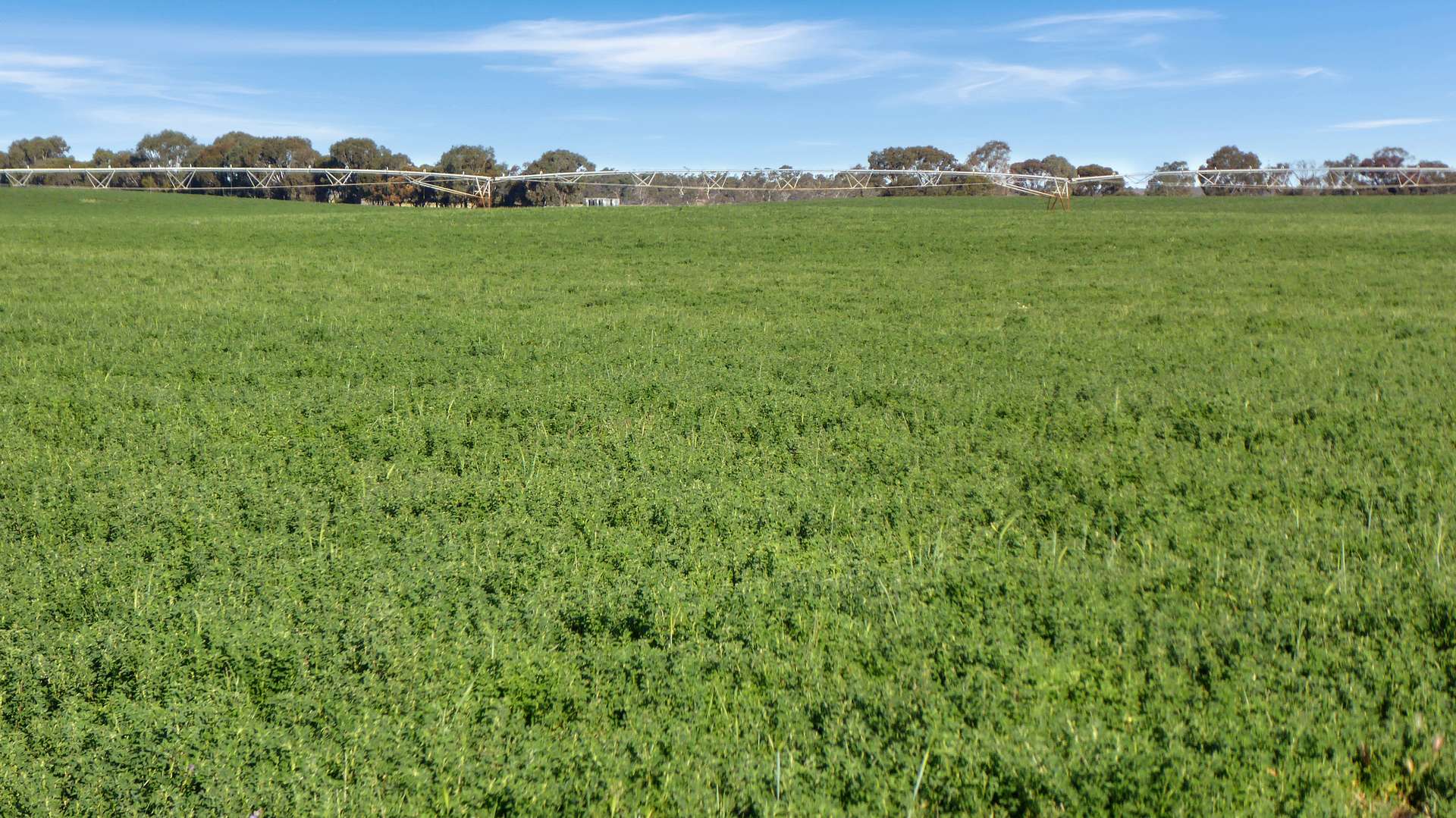 Wallowa Downs/298 Arthurs Road, Telopea Downs For Sale by Farmbuy.com - image 35