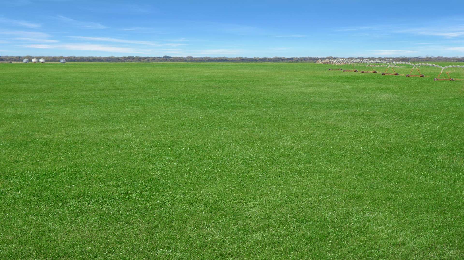 Wallowa Downs/298 Arthurs Road, Telopea Downs For Sale by Farmbuy.com - image 4