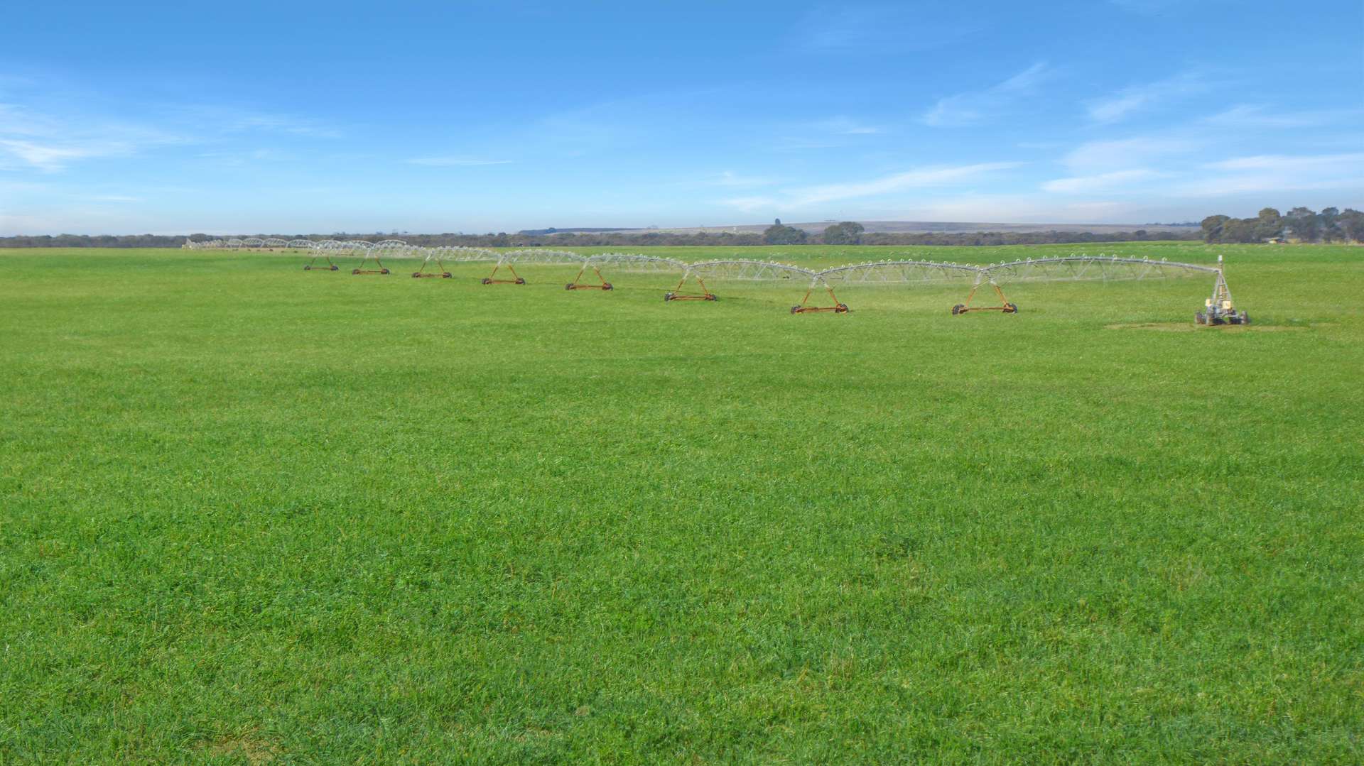 Wallowa Downs/298 Arthurs Road, Telopea Downs For Sale by Farmbuy.com - image 6