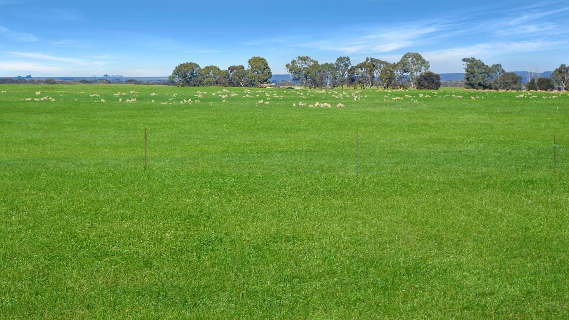 Wallowa Downs/298 Arthurs Road, Telopea Downs For Sale by Farmbuy.com - image 8