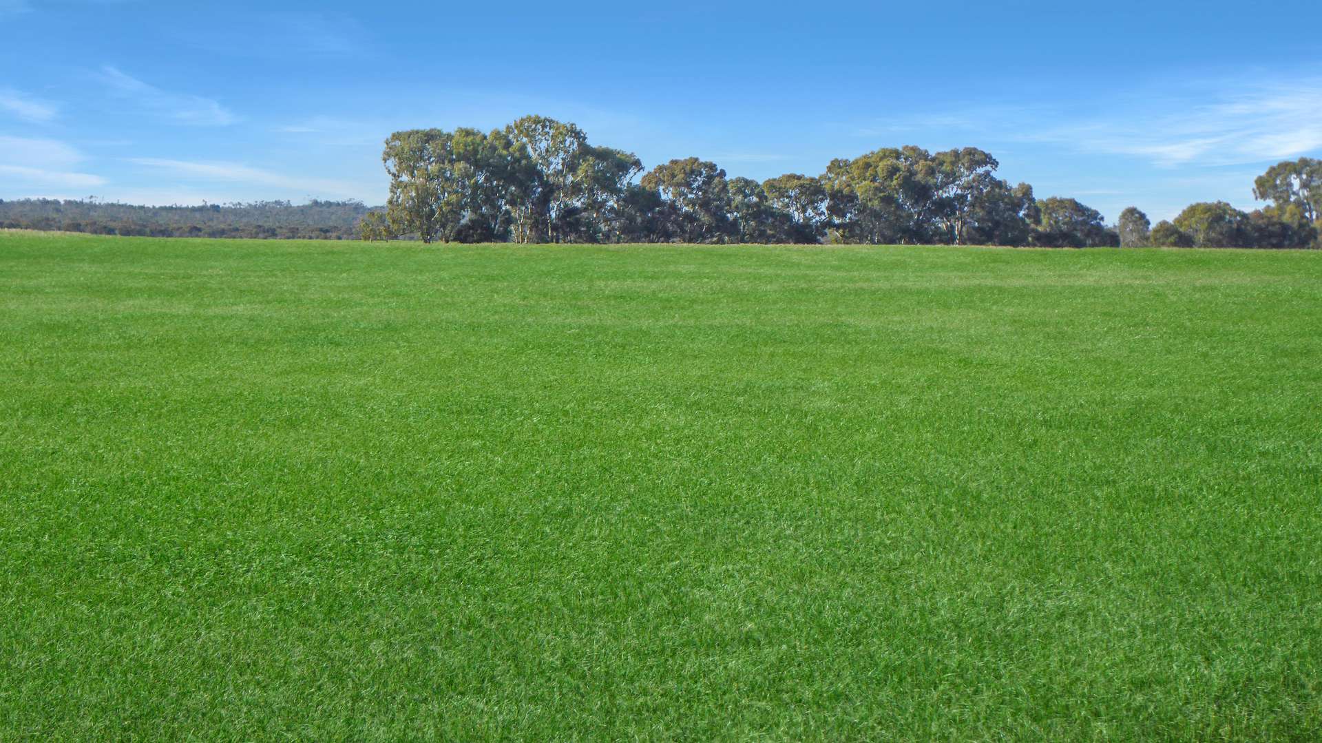 Wallowa Downs/298 Arthurs Road, Telopea Downs For Sale by Farmbuy.com - image 5