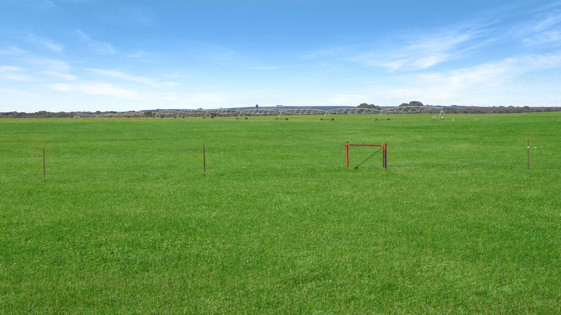 Wallowa Downs/298 Arthurs Road, Telopea Downs For Sale by Farmbuy.com - image 7