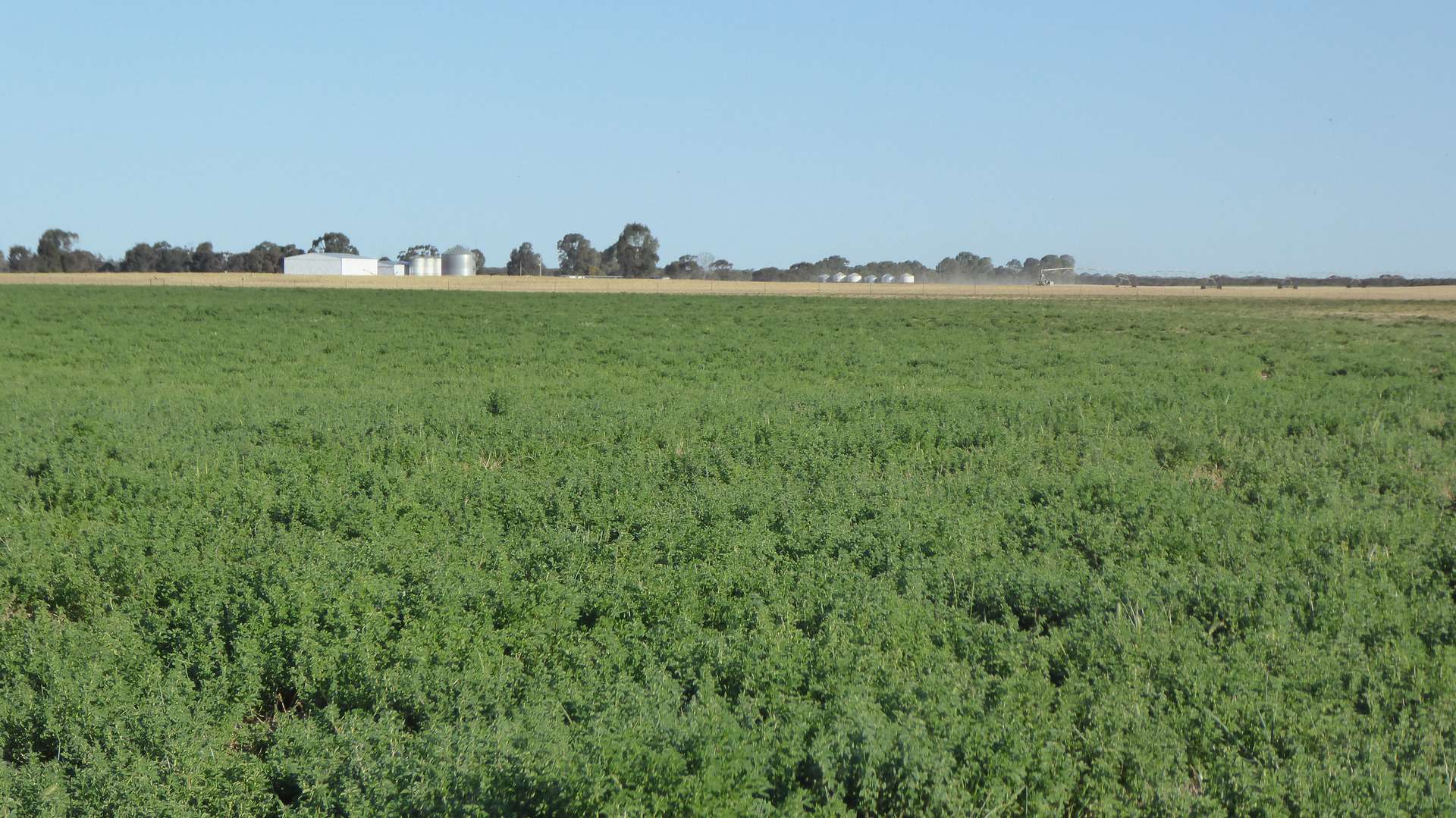 Wallowa Downs/298 Arthurs Road, Telopea Downs For Sale by Farmbuy.com - image 15