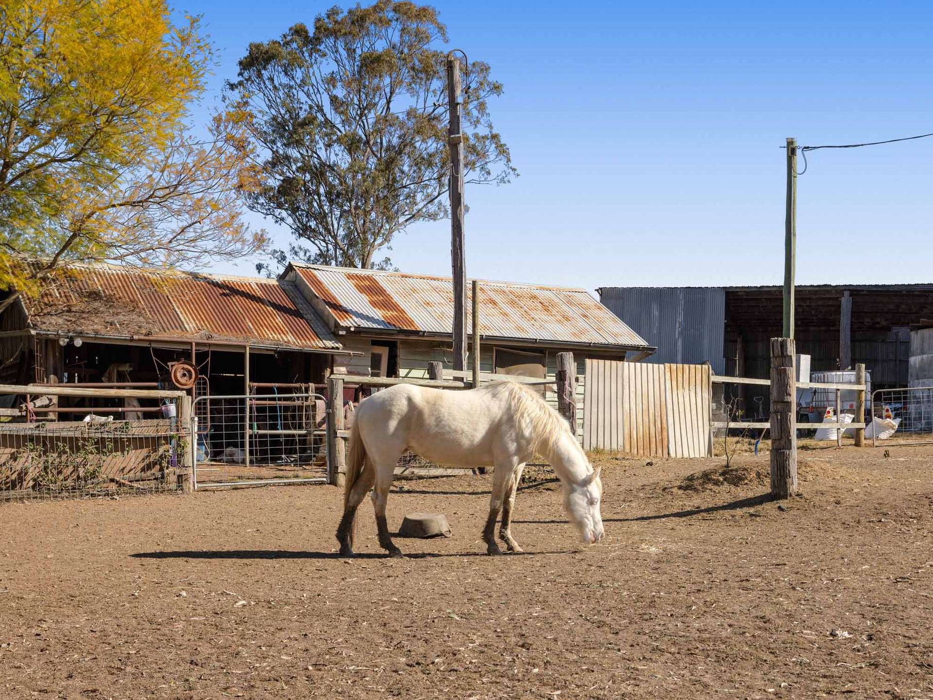 185 Blanchview Road, Blanchview For Sale by Farmbuy.com - image 3