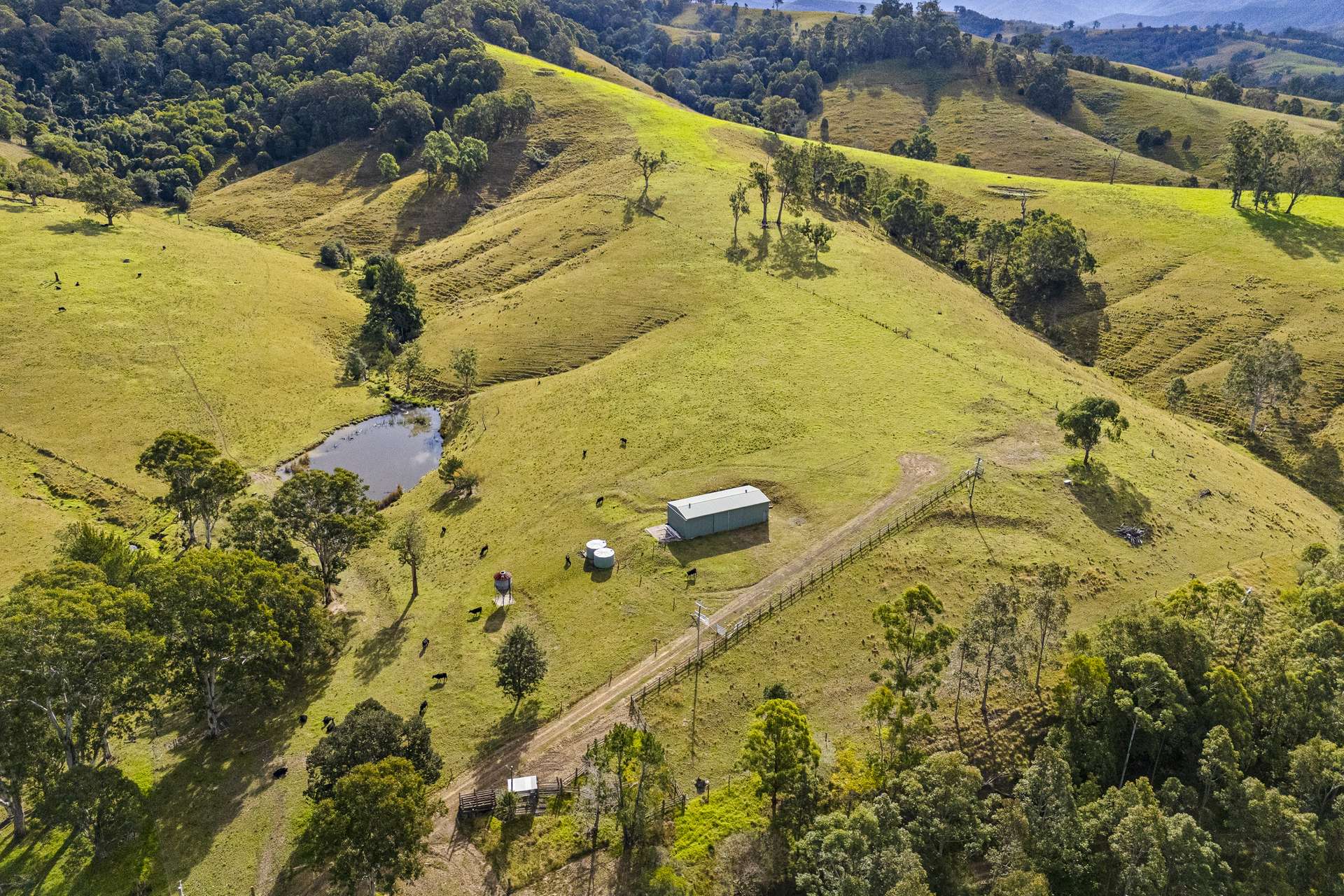 2849 Allyn River Road, Eccleston Auction by Farmbuy.com - image 6