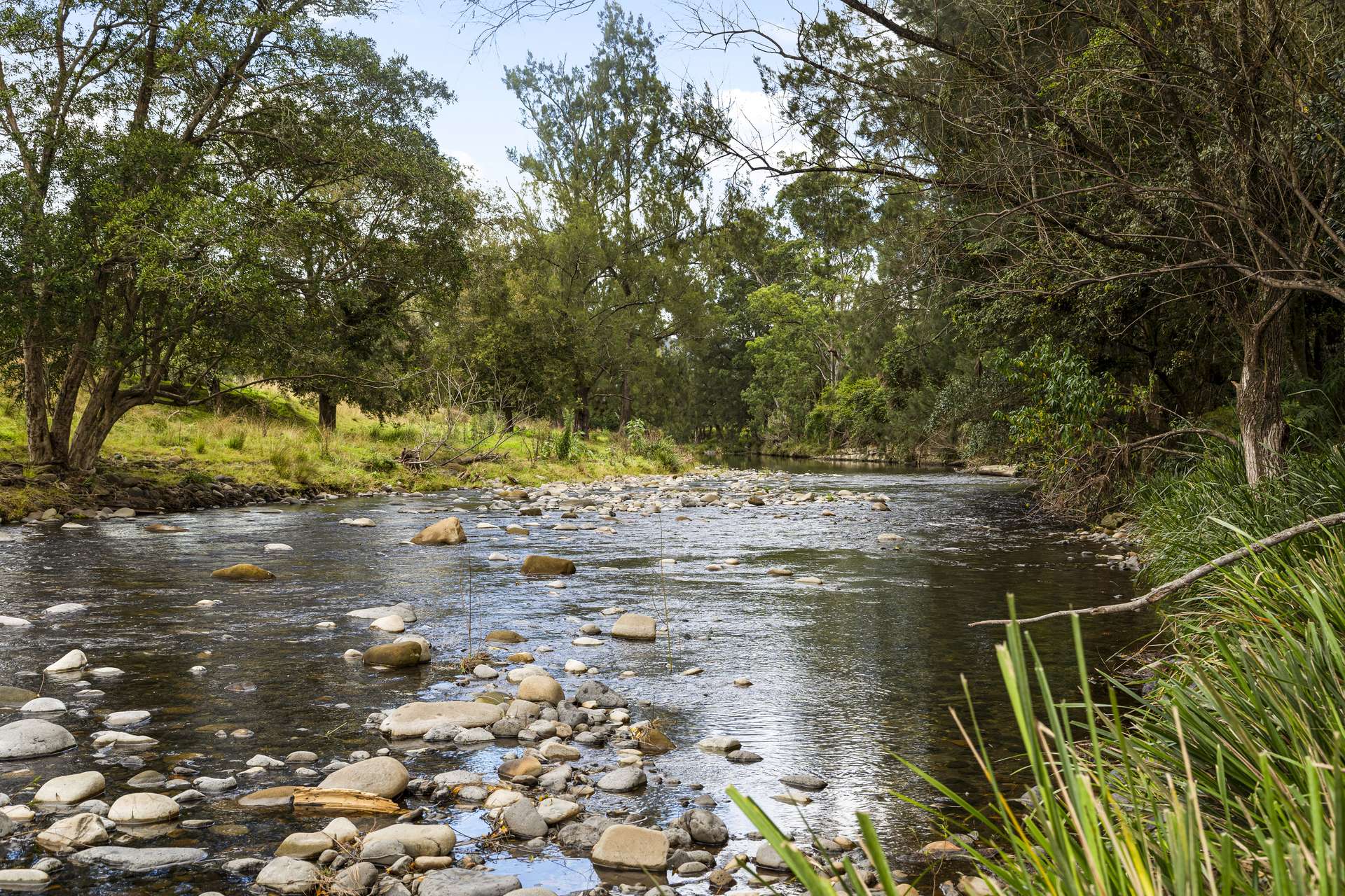 2849 Allyn River Road, Eccleston Auction by Farmbuy.com - image 11