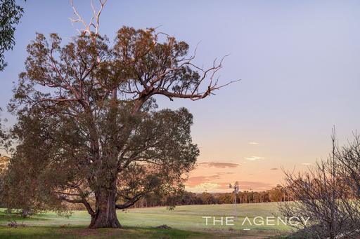 Farm For Sale - WA - Gidgegannup - 6083 - 144 Acres, Two Homes, Ancillary Accommodation & A Whole Lot More 