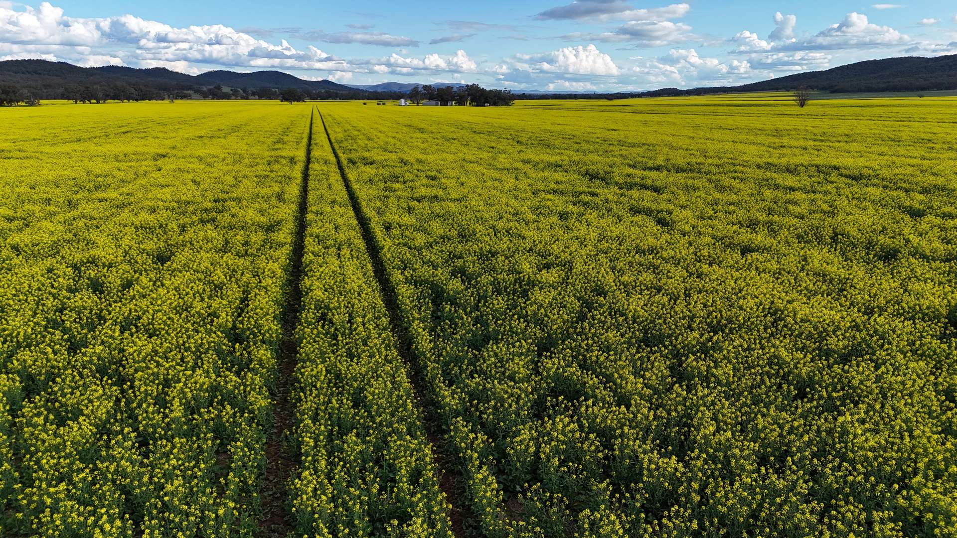 2087 Nangar Road, Eugowra Auction by Farmbuy.com - image 13