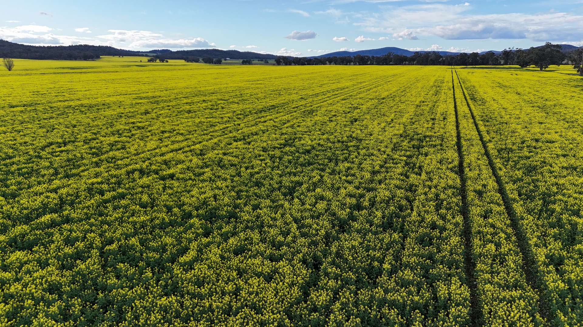 2087 Nangar Road, Eugowra Auction by Farmbuy.com - image 3