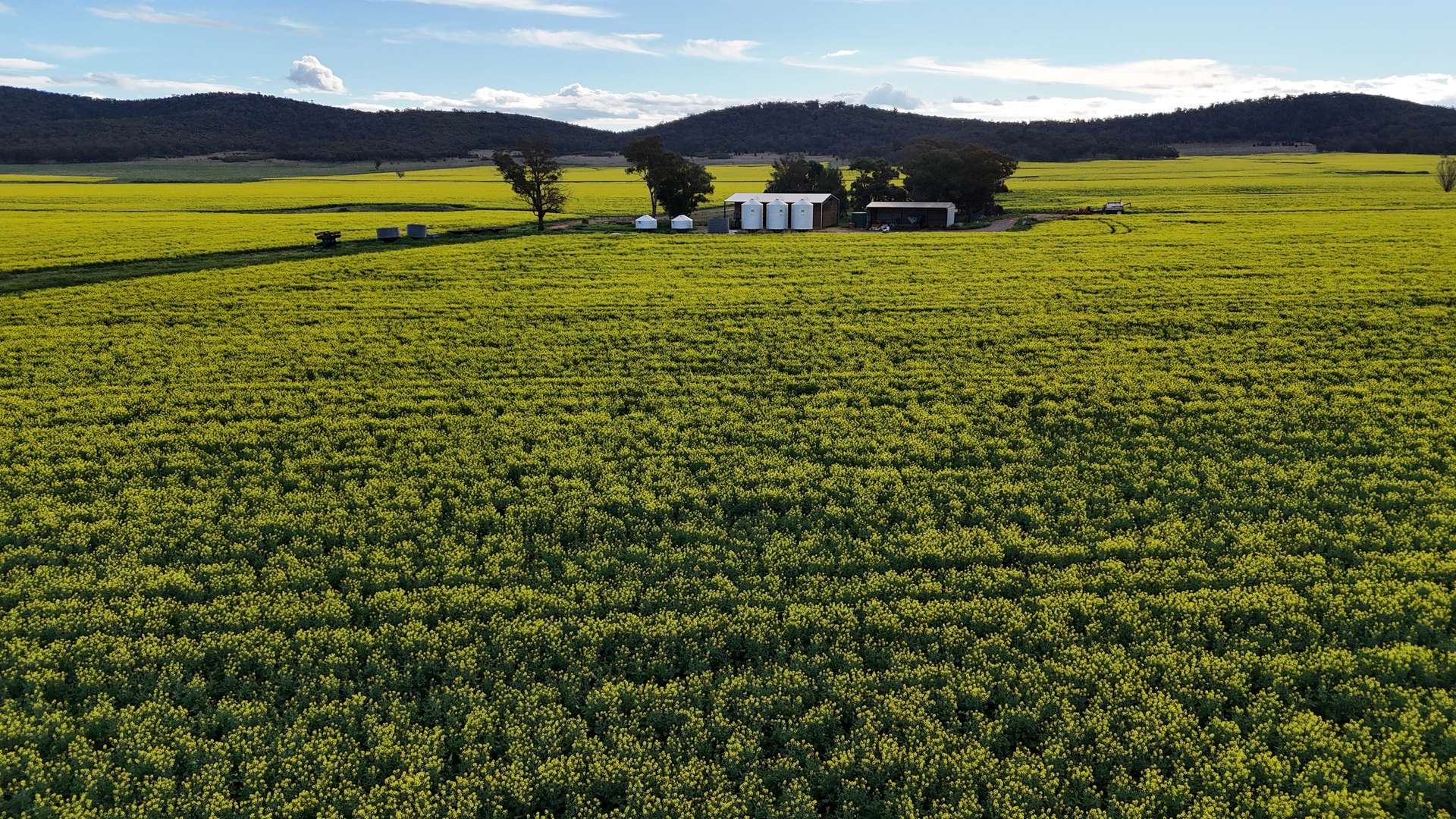 2087 Nangar Road, Eugowra Auction by Farmbuy.com - image 11