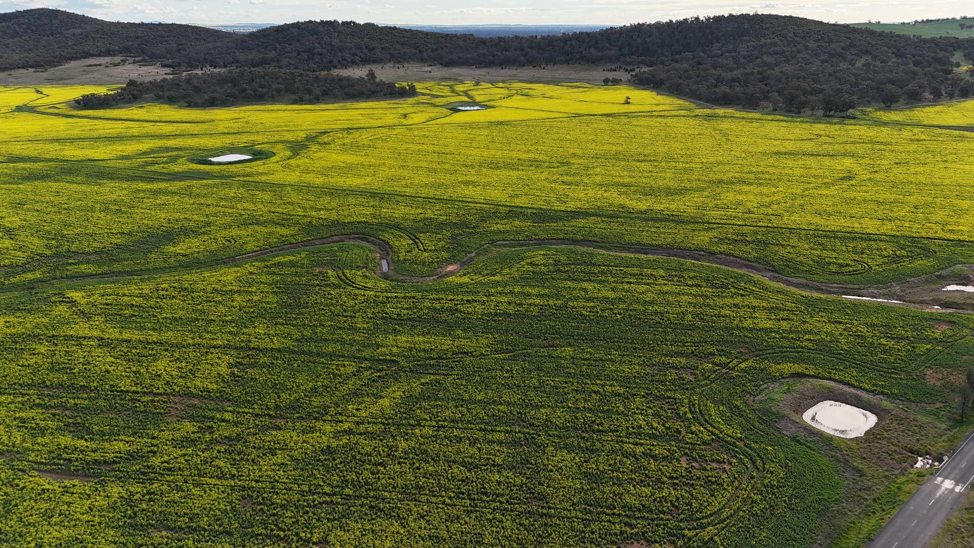2087 Nangar Road, Eugowra Auction by Farmbuy.com - image 10