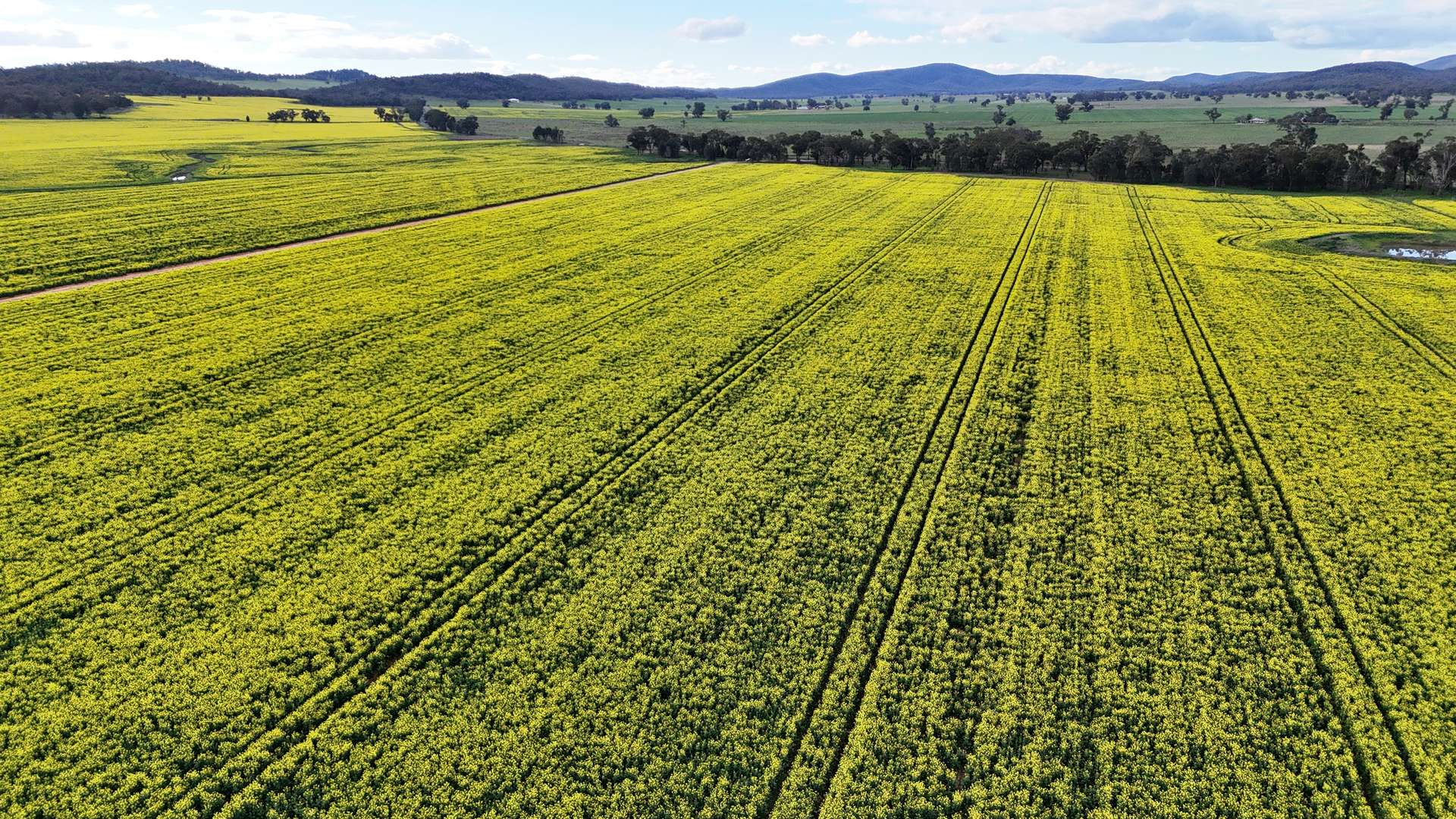 2087 Nangar Road, Eugowra Auction by Farmbuy.com - image 7
