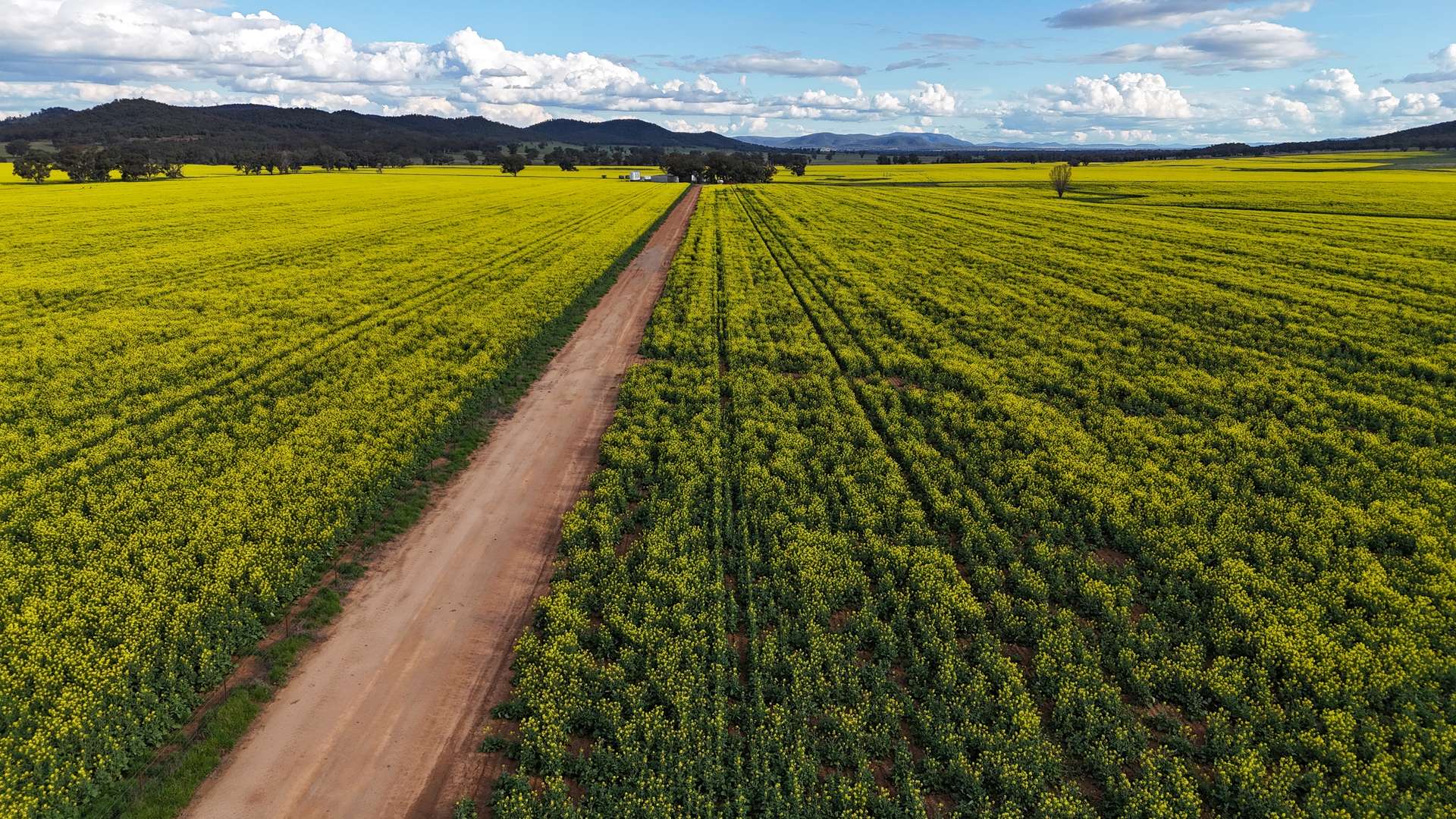 2087 Nangar Road, Eugowra Auction by Farmbuy.com - image 8