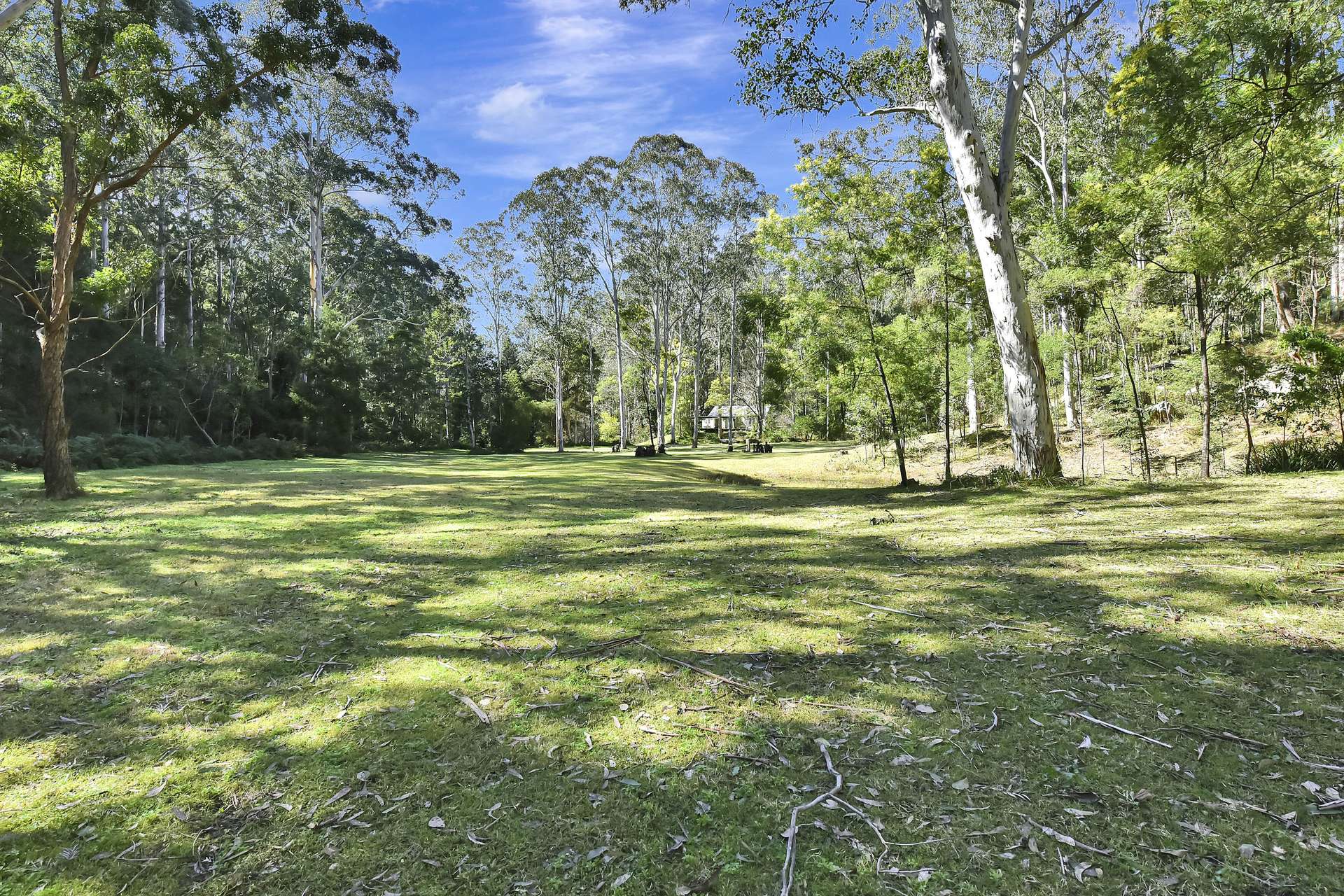 677 Blaxlands Arm Road, Laguna For Sale by Farmbuy.com - image 28