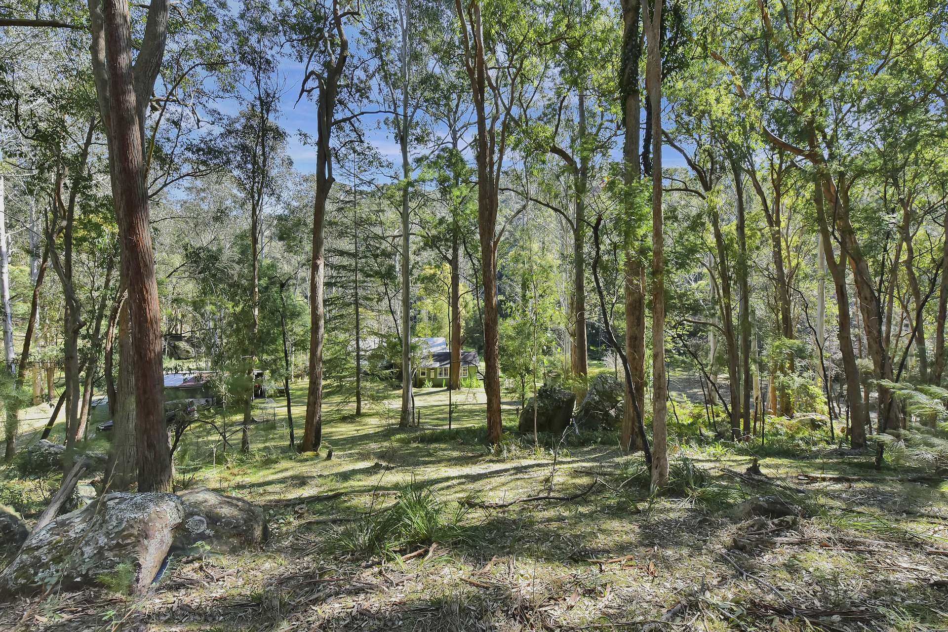 677 Blaxlands Arm Road, Laguna For Sale by Farmbuy.com - image 29