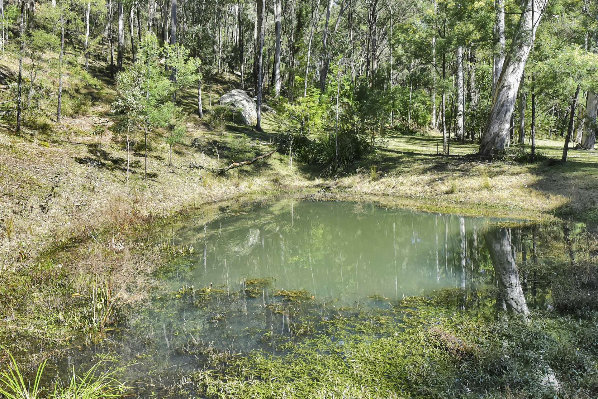 677 Blaxlands Arm Road, Laguna For Sale by Farmbuy.com - image 27