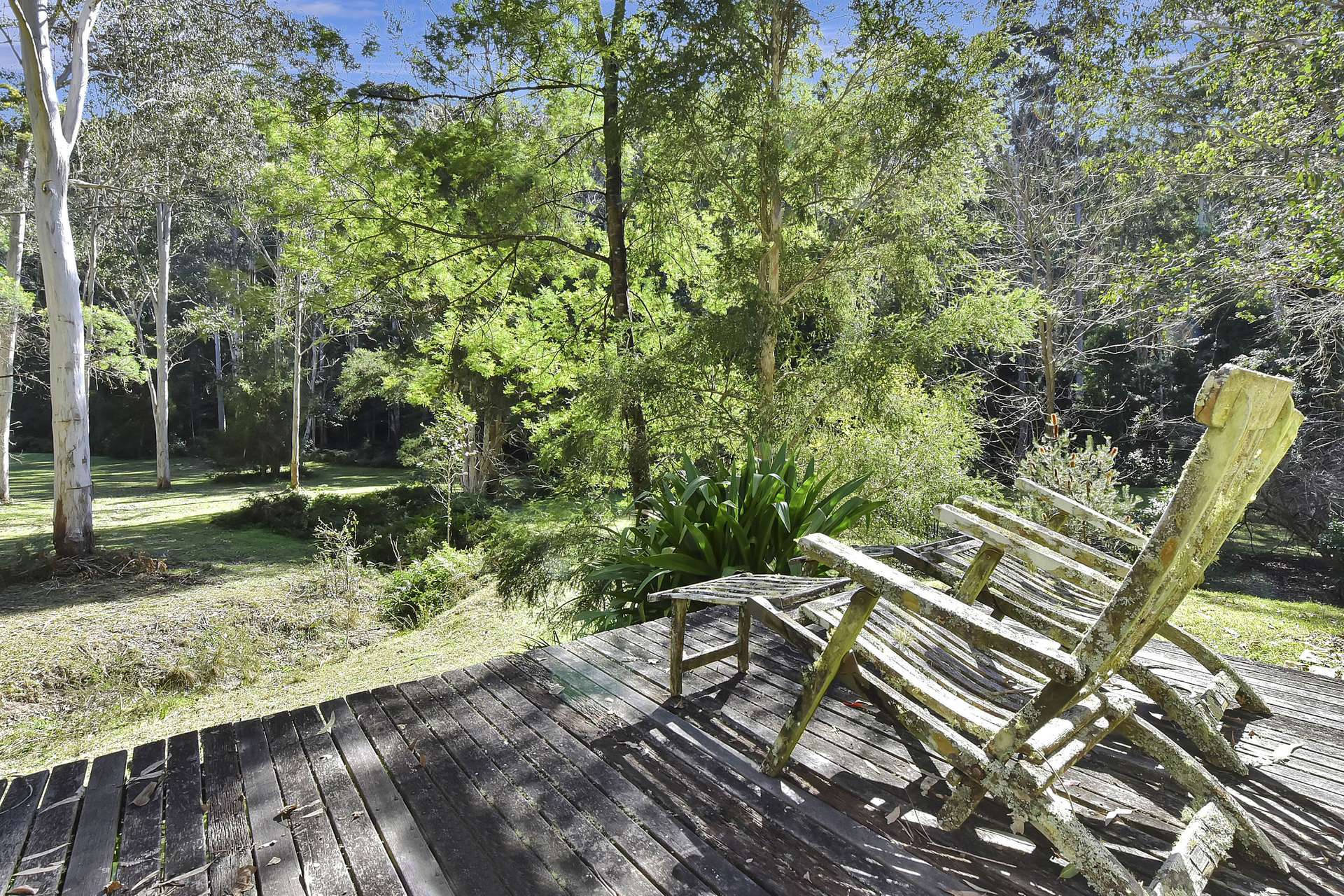 677 Blaxlands Arm Road, Laguna For Sale by Farmbuy.com - image 23