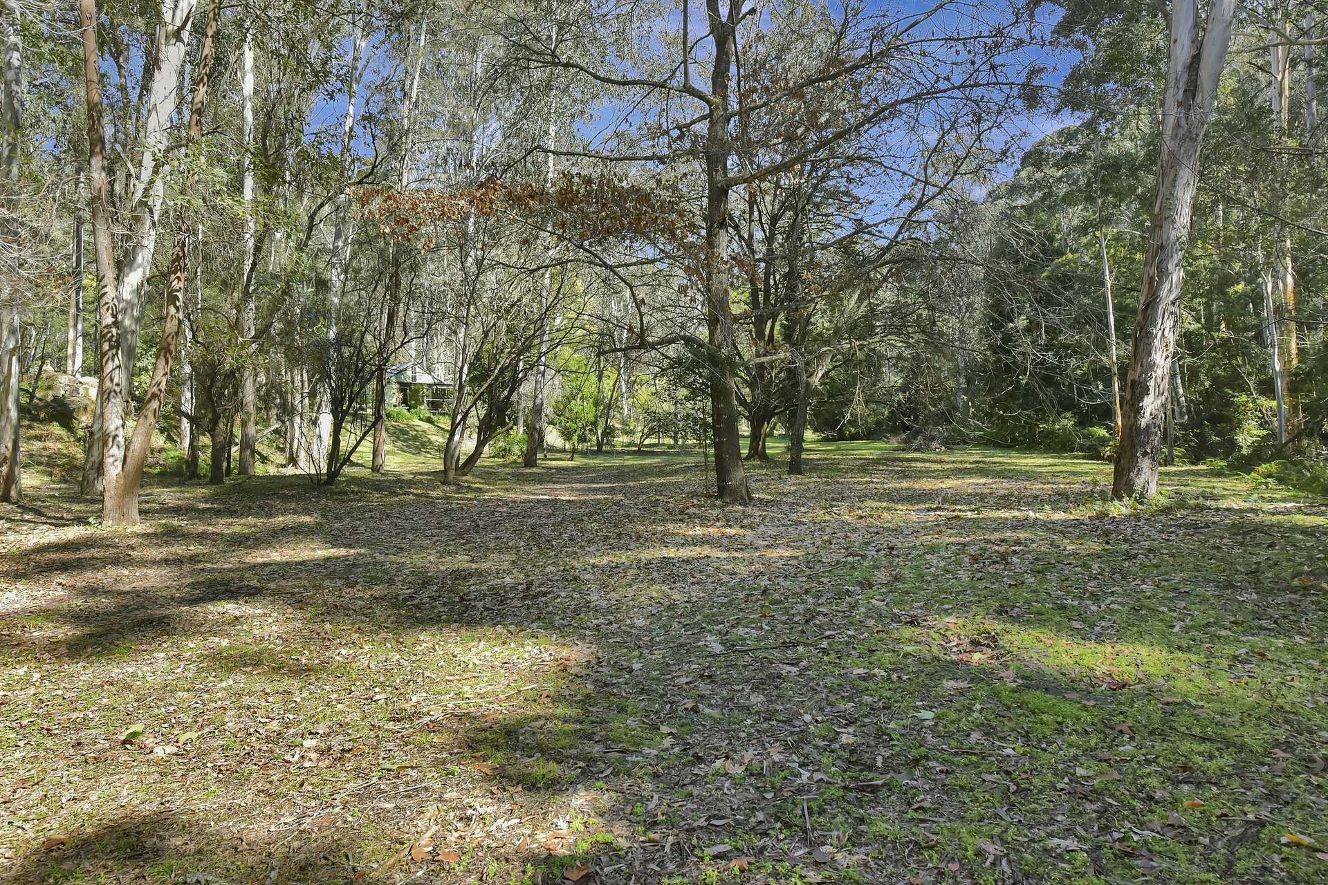 677 Blaxlands Arm Road, Laguna For Sale by Farmbuy.com - image 25