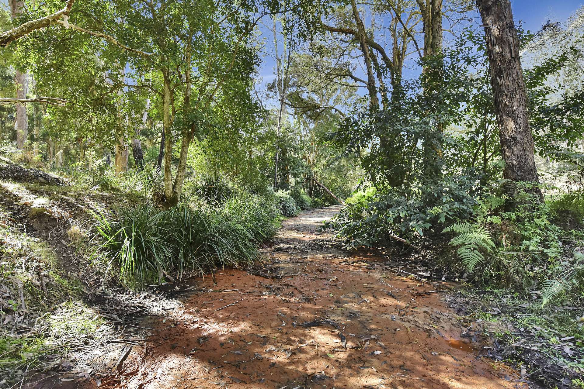 677 Blaxlands Arm Road, Laguna For Sale by Farmbuy.com - image 31
