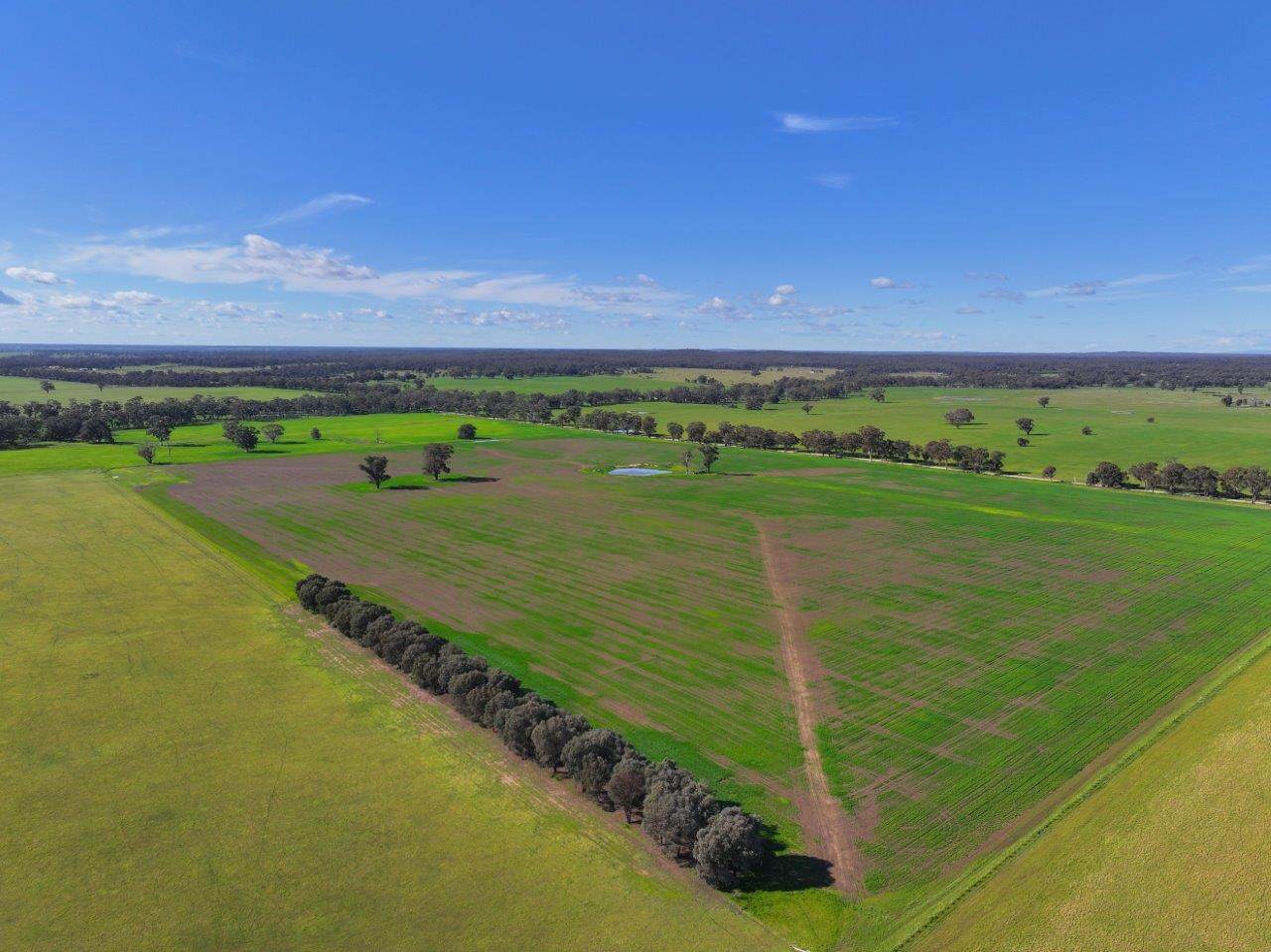 147 Heathcote-Moora Road, Moora For Sale by Farmbuy.com - image 25
