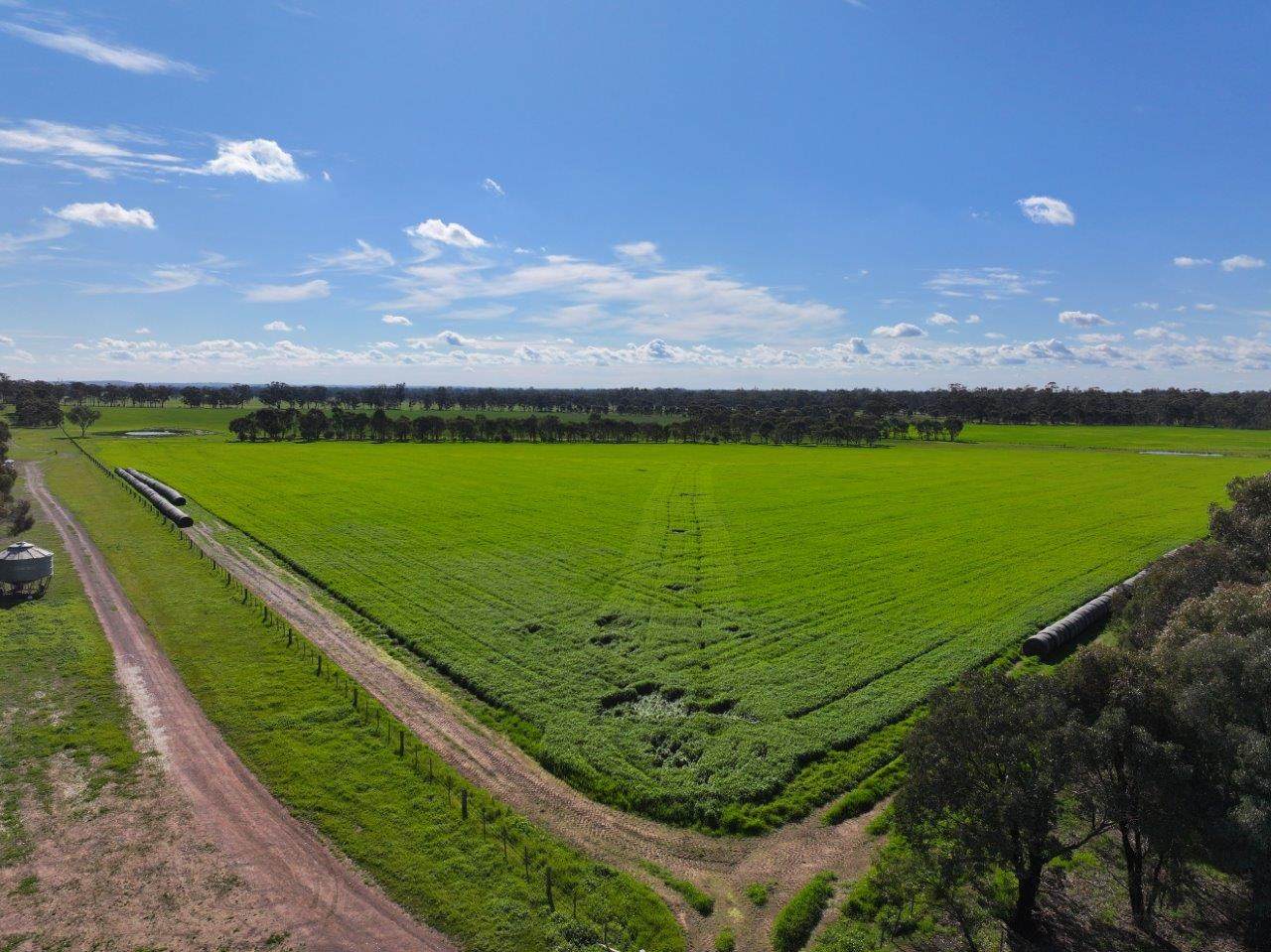 147 Heathcote-Moora Road, Moora For Sale by Farmbuy.com - image 26