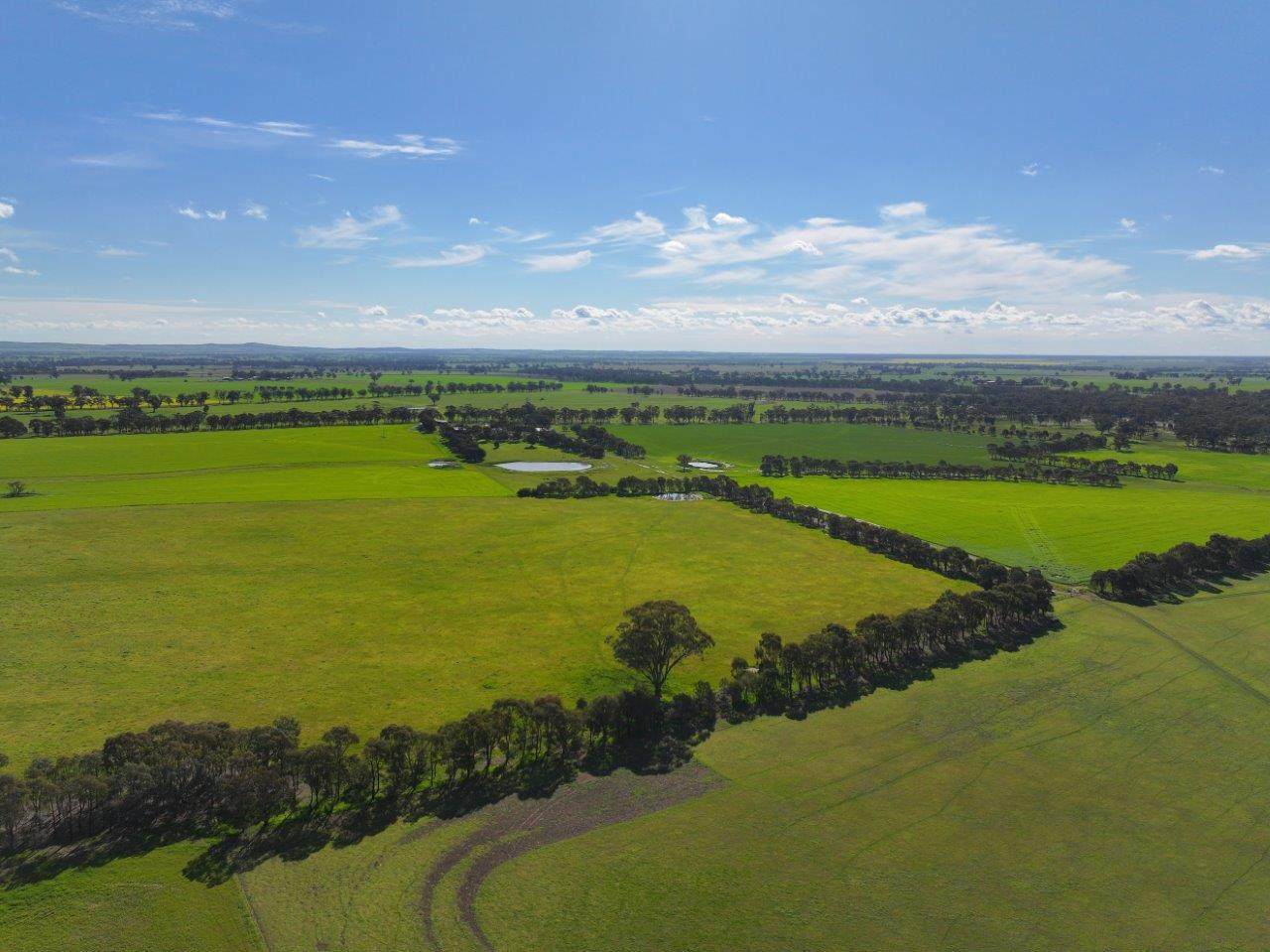 147 Heathcote-Moora Road, Moora For Sale by Farmbuy.com - image 24