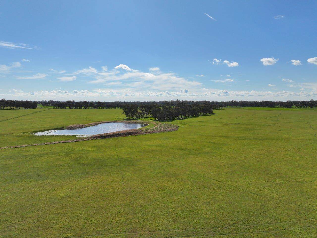 147 Heathcote-Moora Road, Moora For Sale by Farmbuy.com - image 22