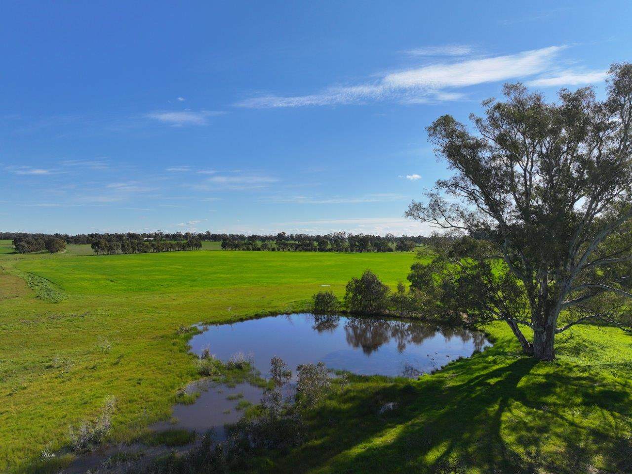 147 Heathcote-Moora Road, Moora For Sale by Farmbuy.com - image 21