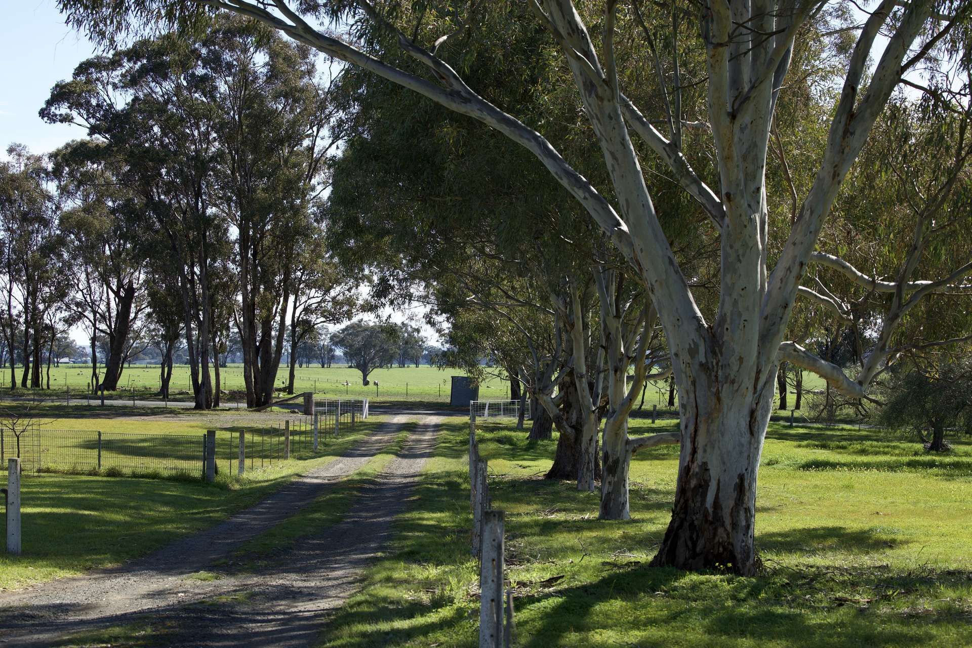 147 Heathcote-Moora Road, Moora For Sale by Farmbuy.com - image 17