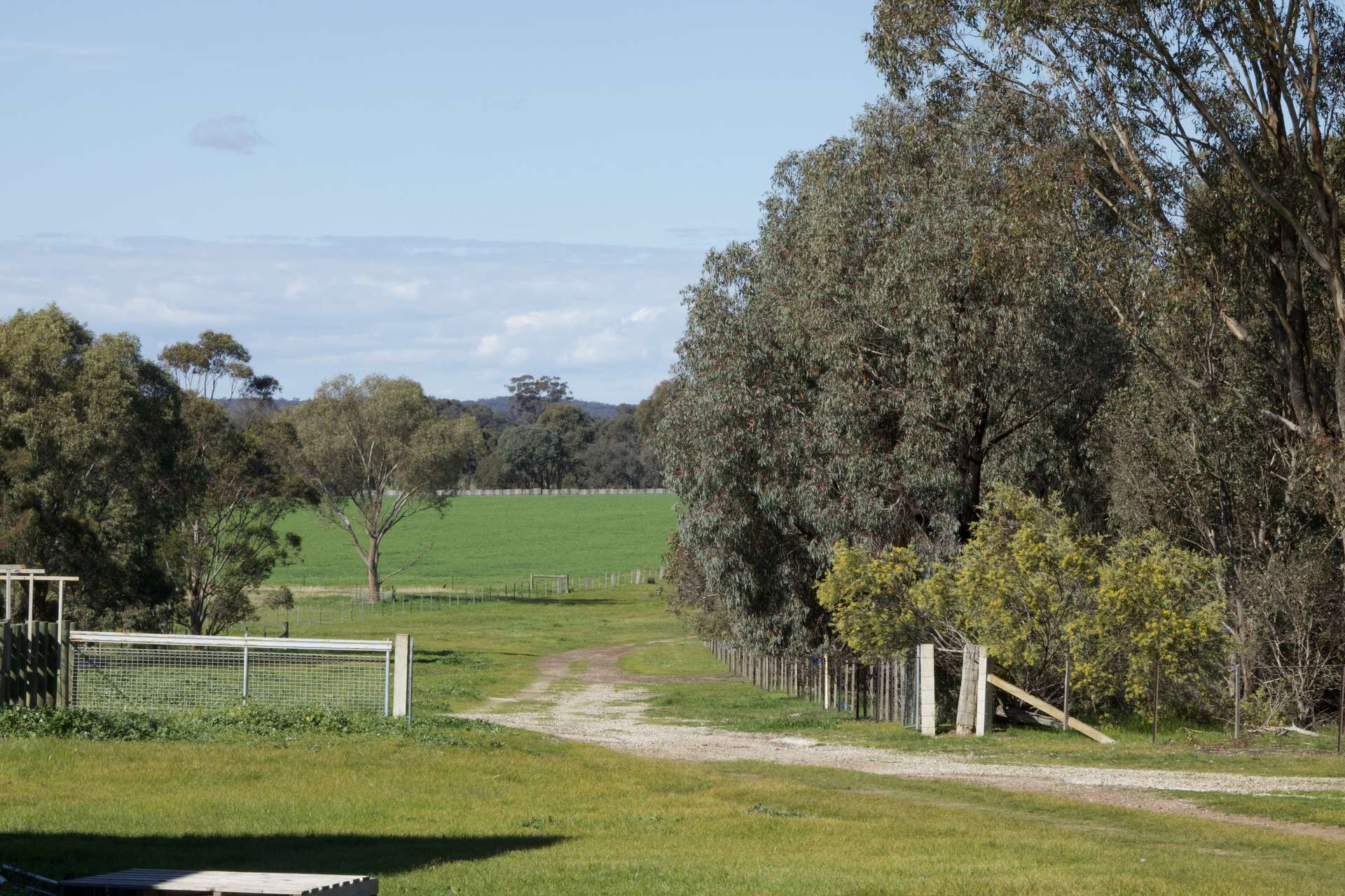 147 Heathcote-Moora Road, Moora For Sale by Farmbuy.com - image 20