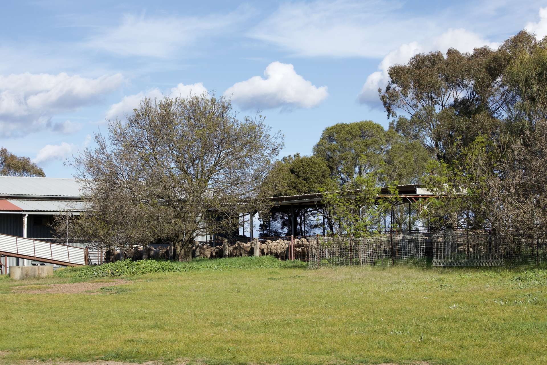 147 Heathcote-Moora Road, Moora For Sale by Farmbuy.com - image 15