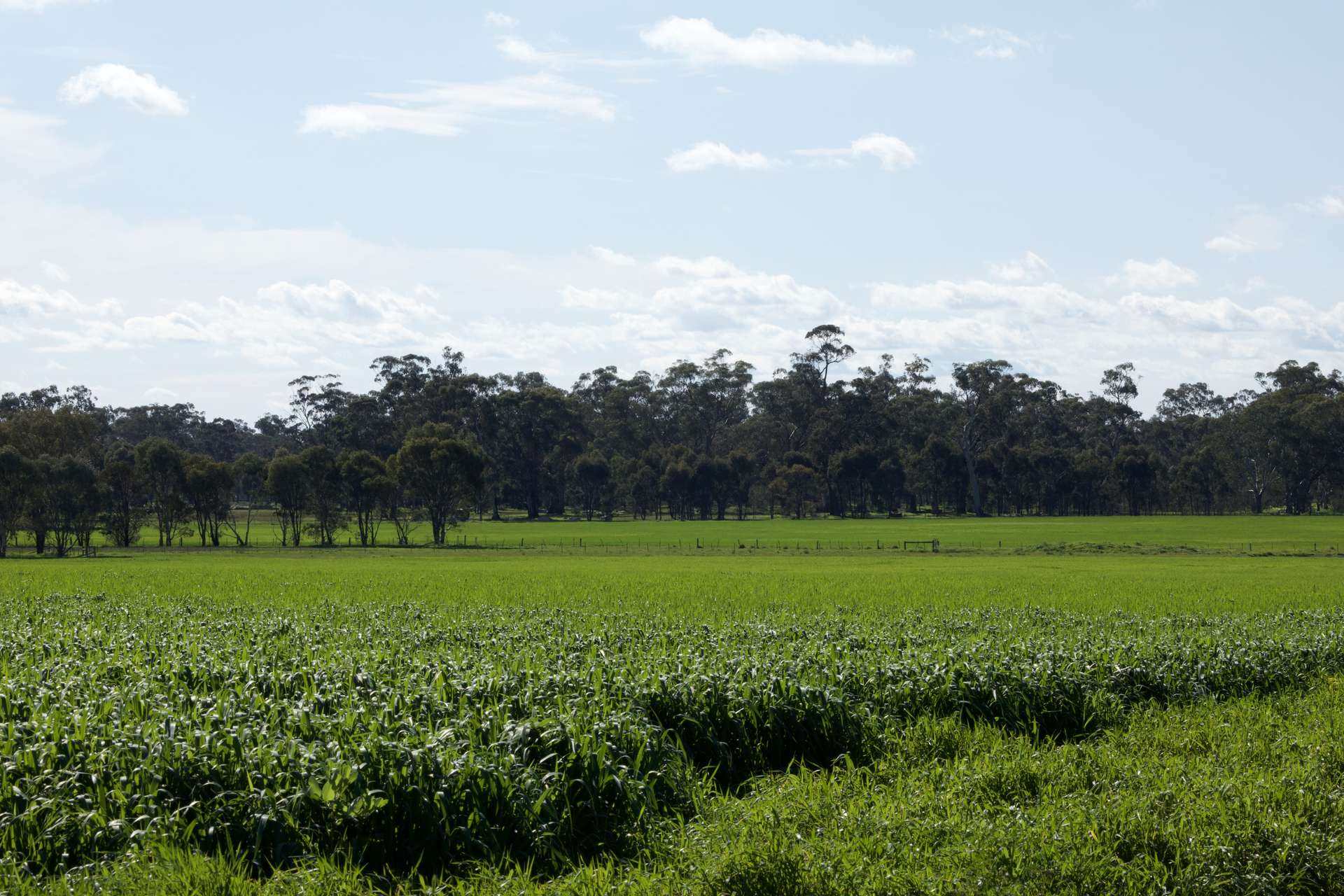 147 Heathcote-Moora Road, Moora For Sale by Farmbuy.com - image 23
