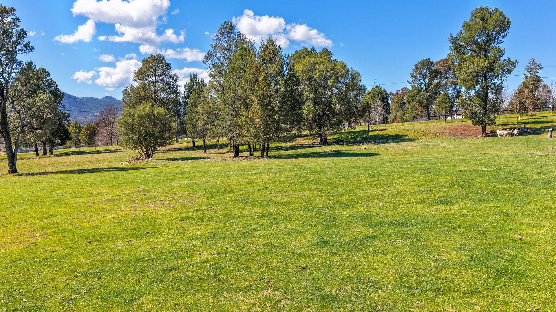 253 Catherine Way, Tamworth Auction by Farmbuy.com - image 15