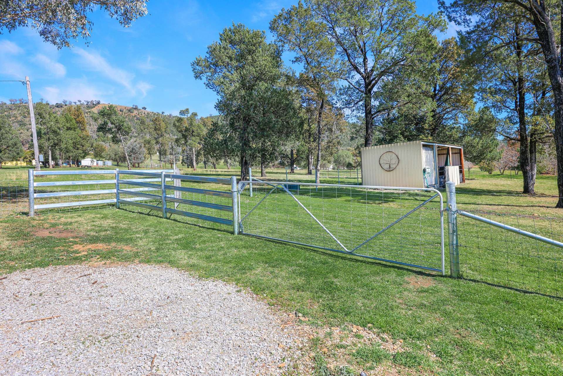 253 Catherine Way, Tamworth Auction by Farmbuy.com - image 17