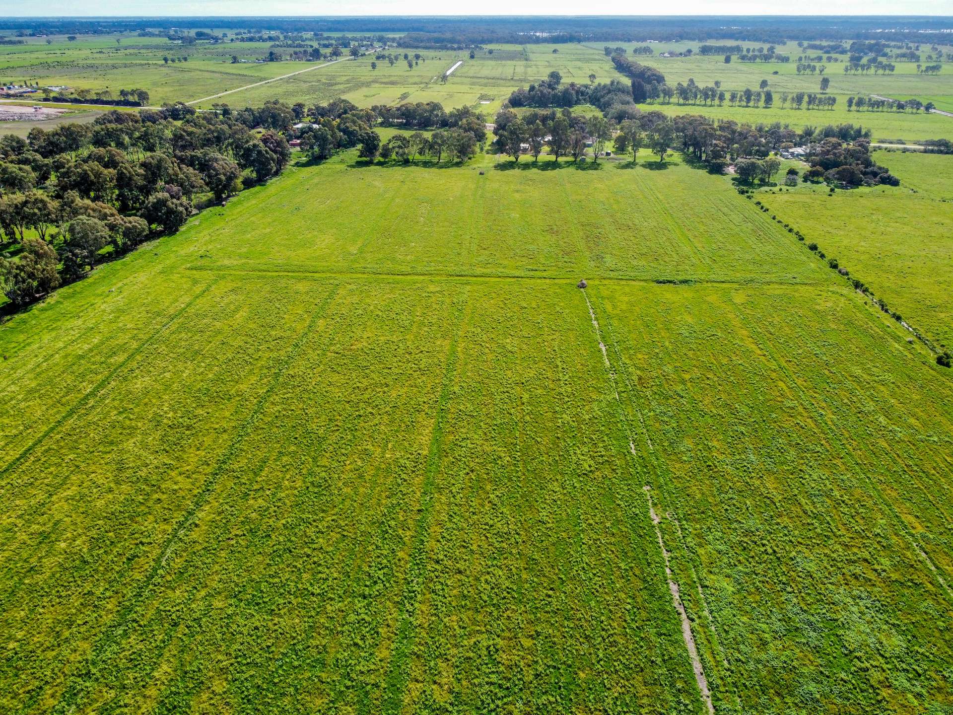 326 Tyntynder Central Road, Tyntynder For Sale by Farmbuy.com - image 19