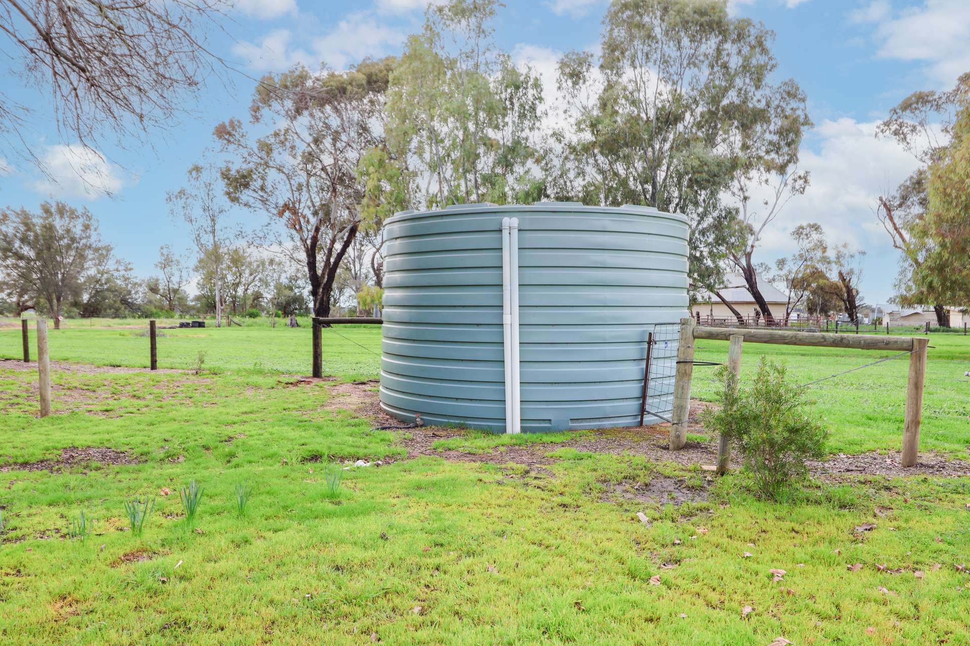 326 Tyntynder Central Road, Tyntynder For Sale by Farmbuy.com - image 22