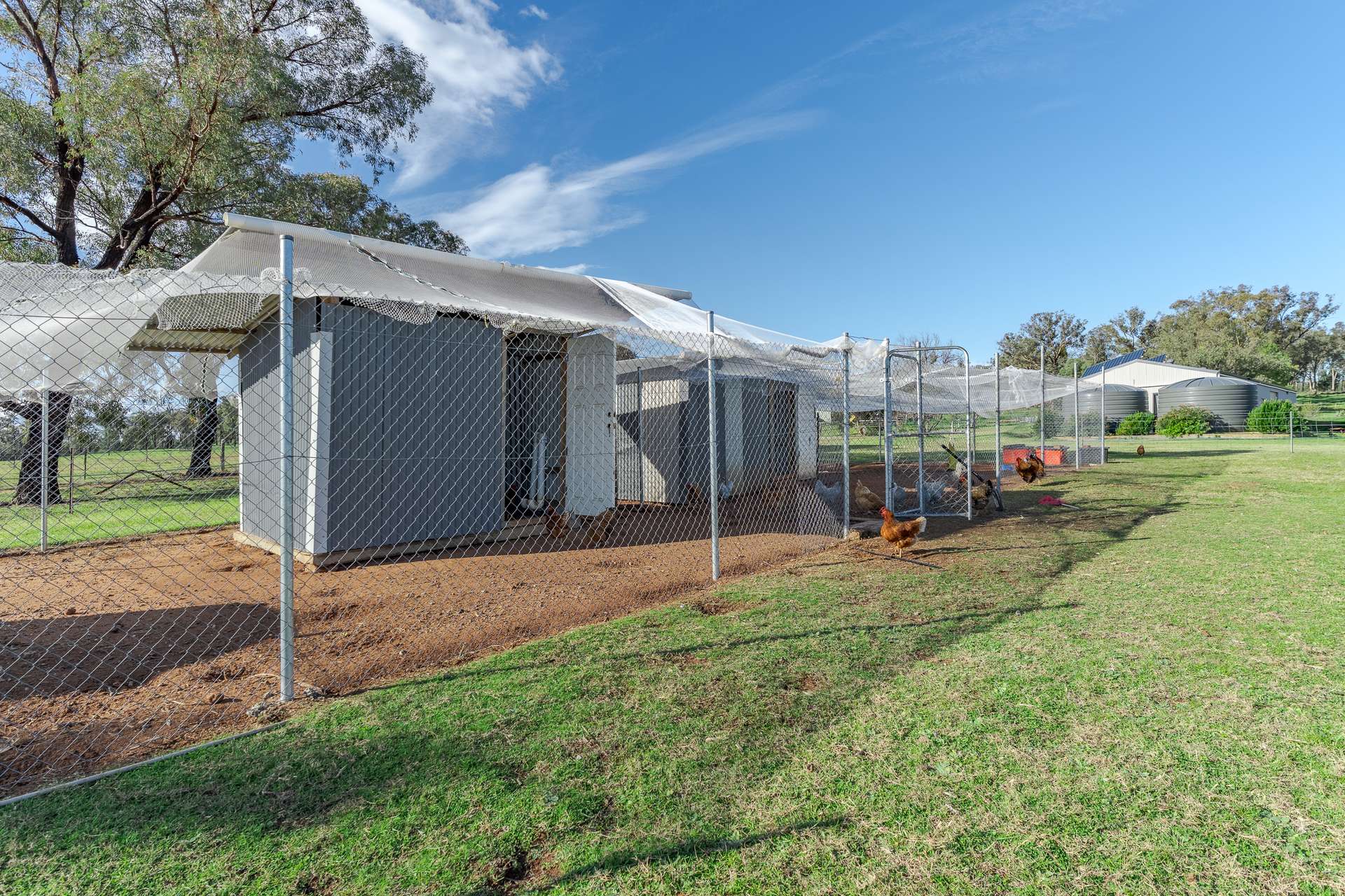 44R Whitewood Road, Dubbo For Sale by Farmbuy.com - image 17