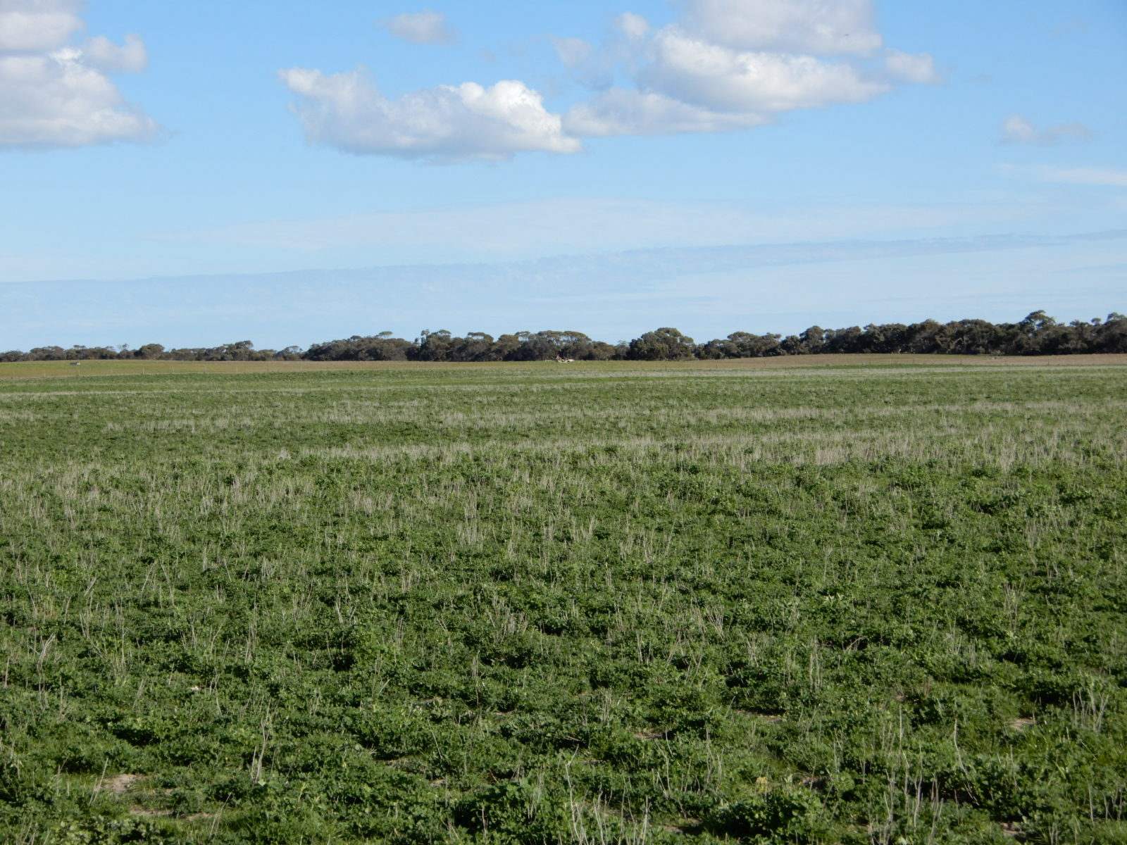 2329 Richardson Road, Field For Sale by Farmbuy.com - image 1
