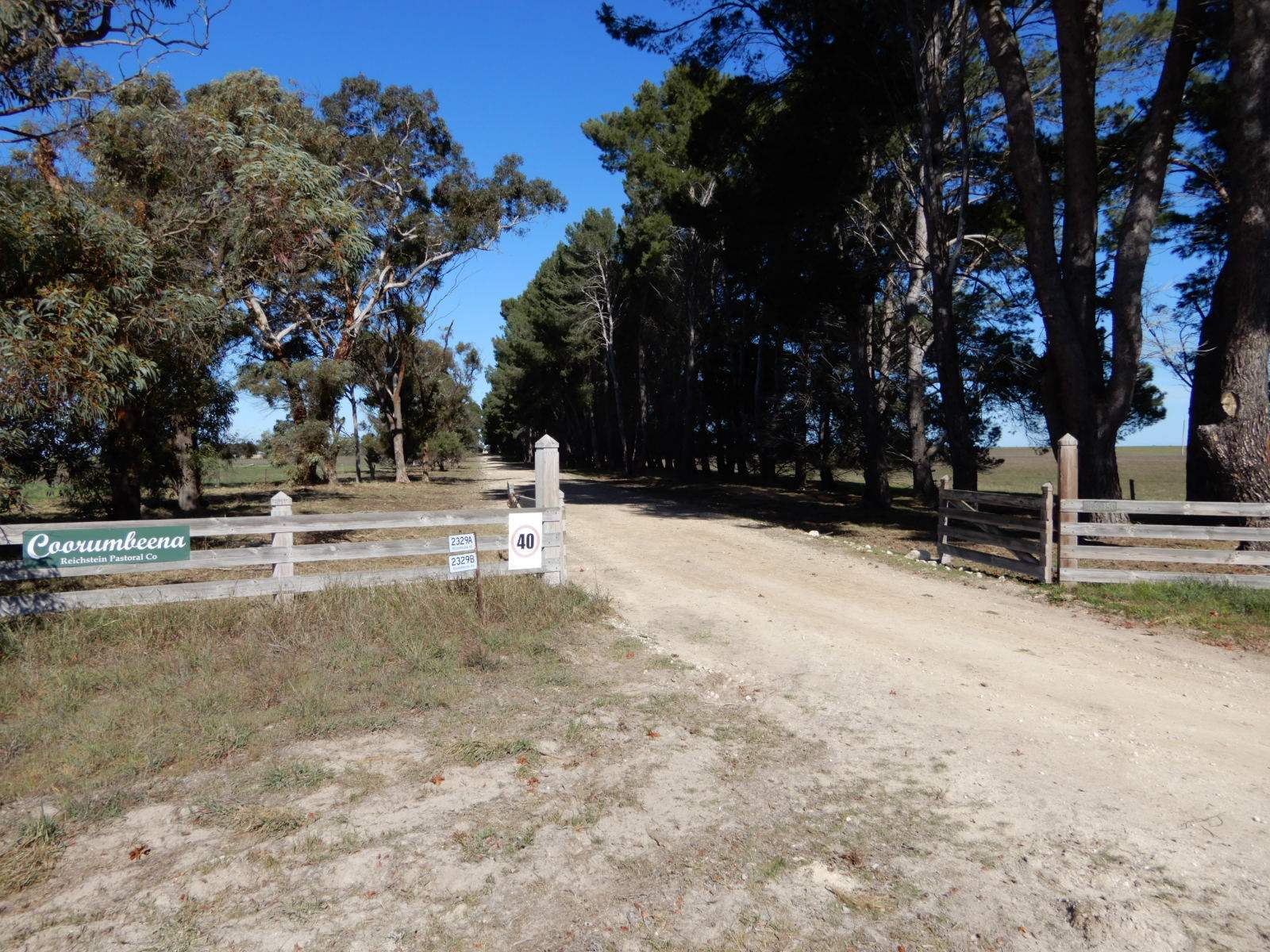2329 Richardson Road, Field For Sale by Farmbuy.com - image 17