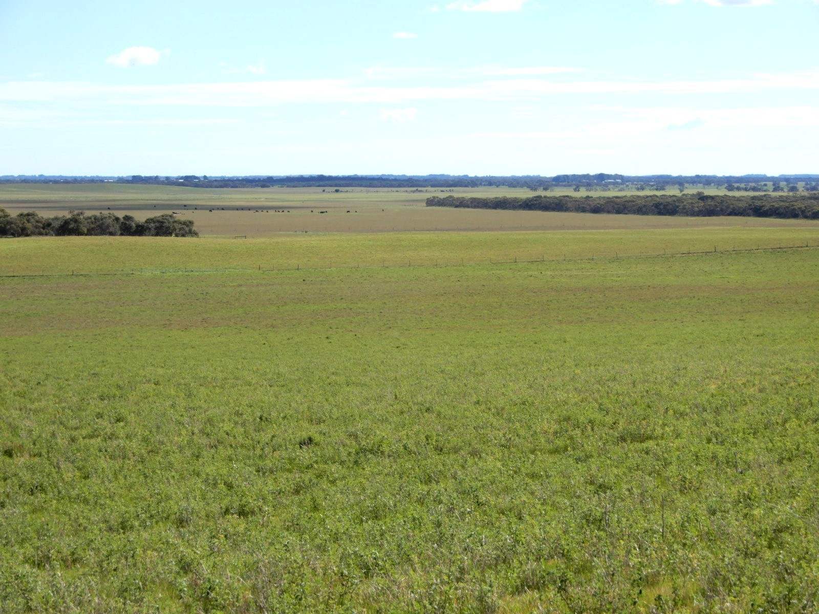 2329 Richardson Road, Field For Sale by Farmbuy.com - image 23