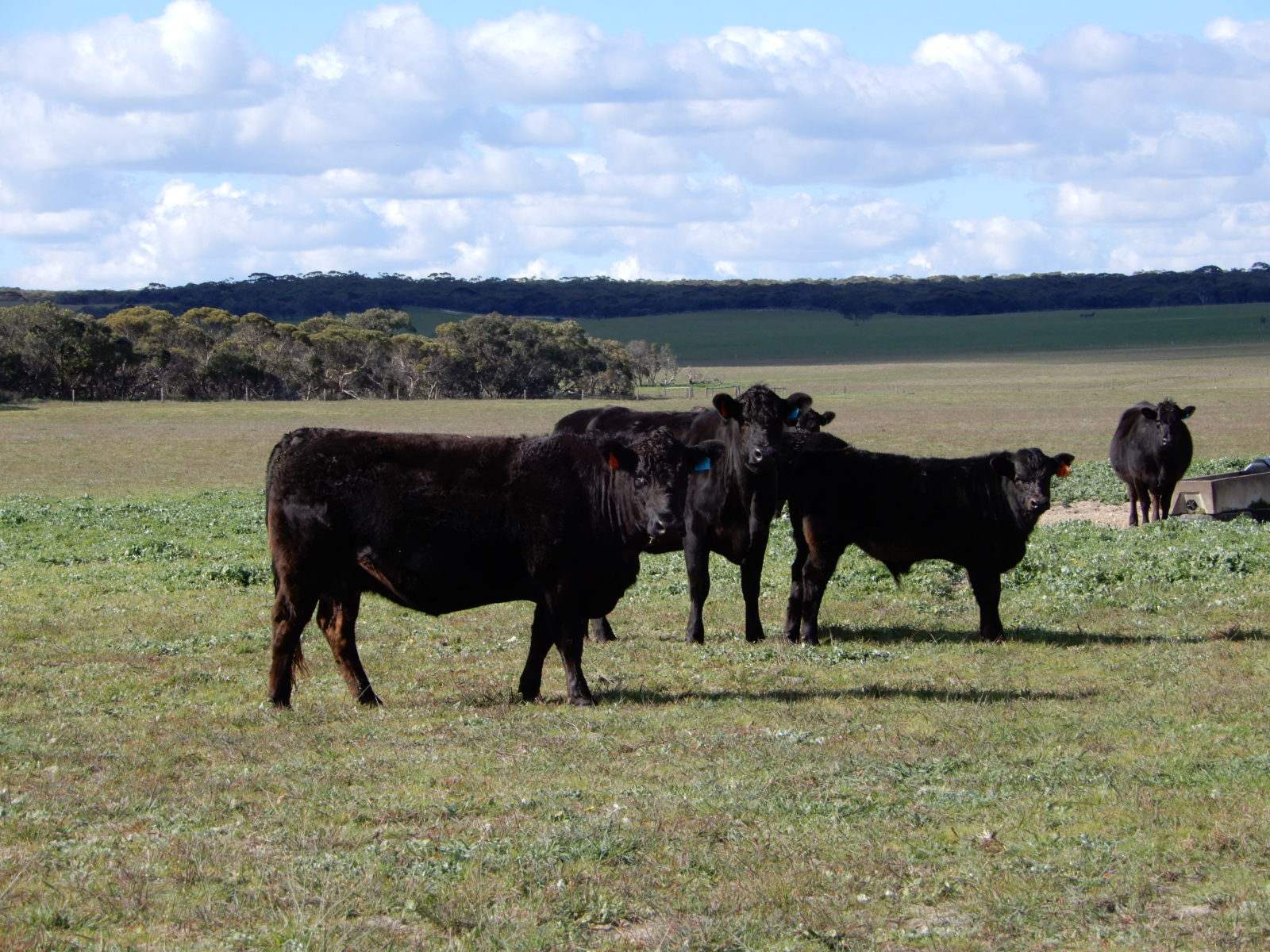 2329 Richardson Road, Field For Sale by Farmbuy.com - image 21