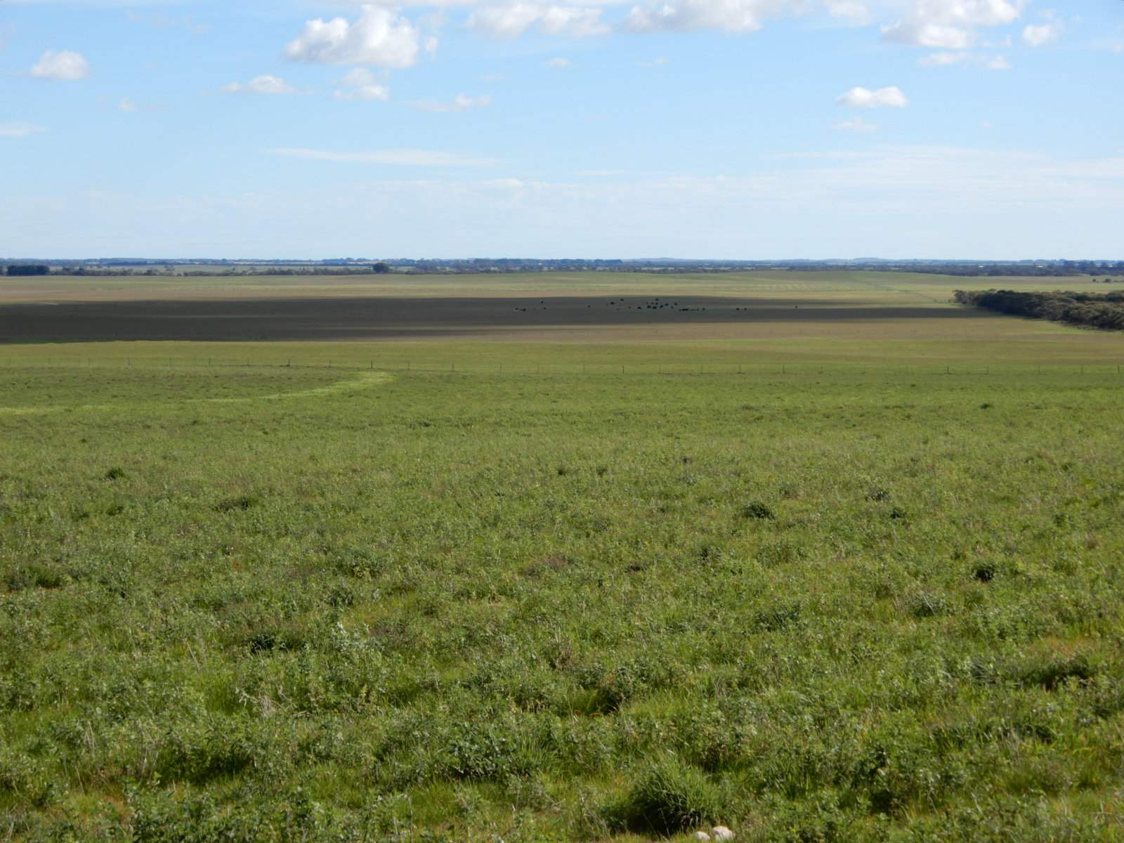 2329 Richardson Road, Field For Sale by Farmbuy.com - image 3