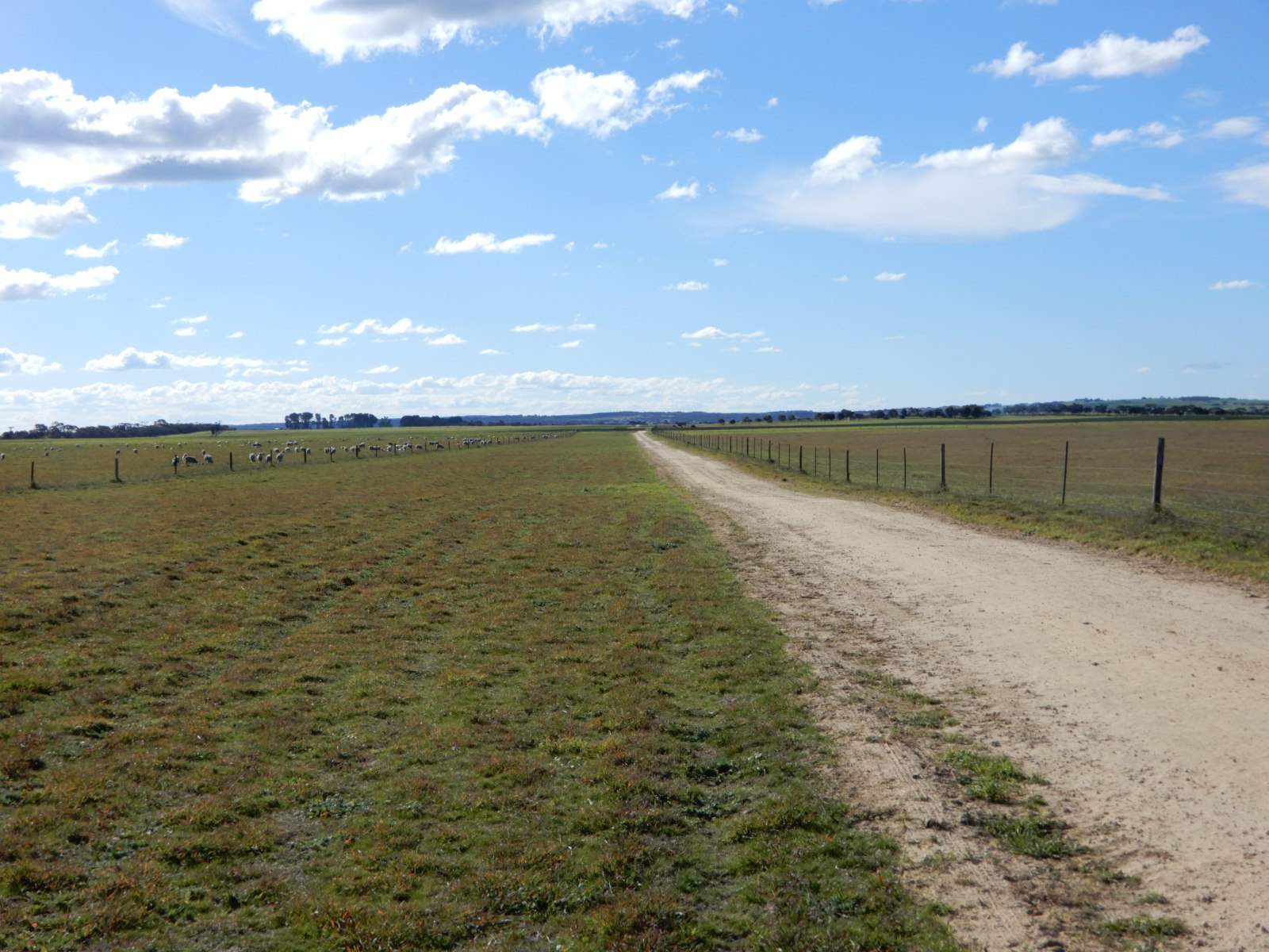 2329 Richardson Road, Field For Sale by Farmbuy.com - image 18