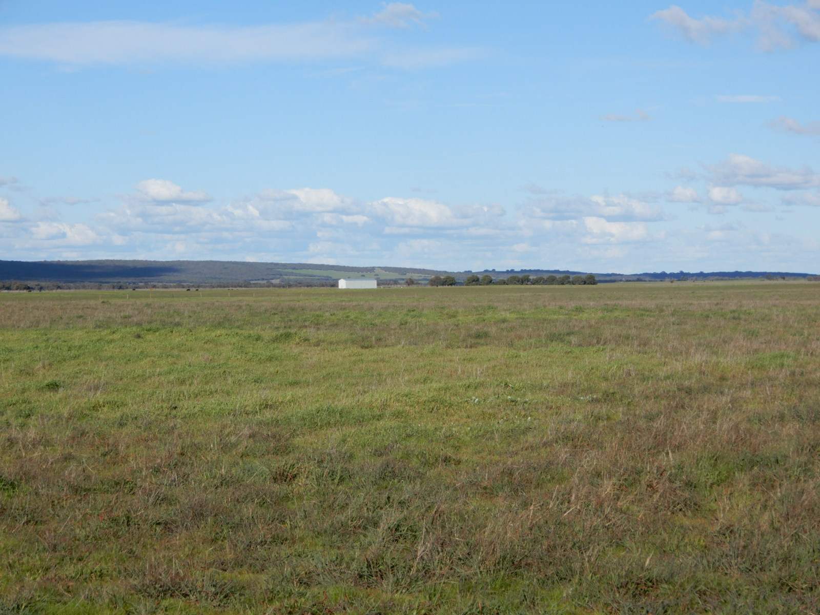 2329 Richardson Road, Field For Sale by Farmbuy.com - image 22