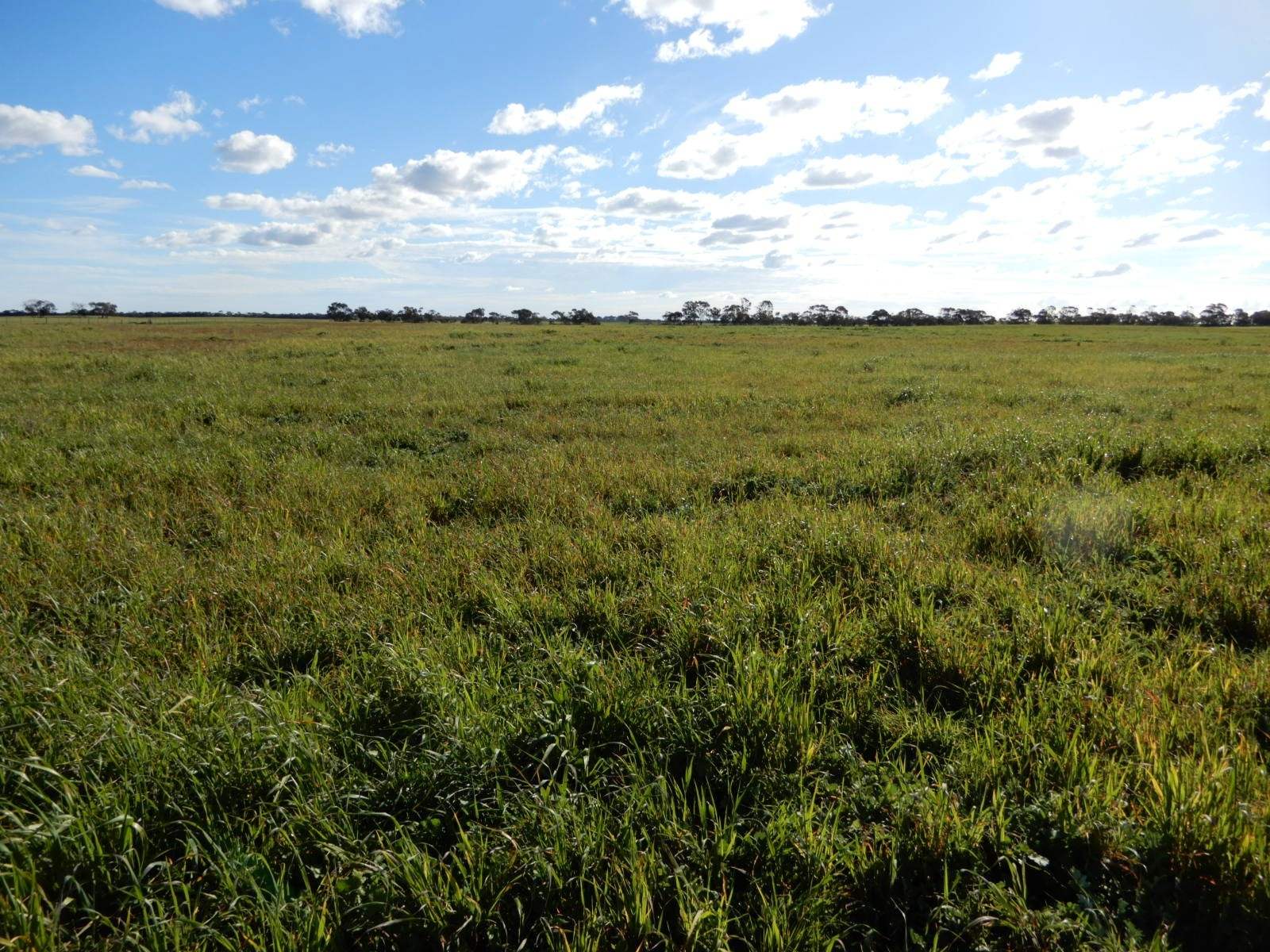 2329 Richardson Road, Field For Sale by Farmbuy.com - image 8