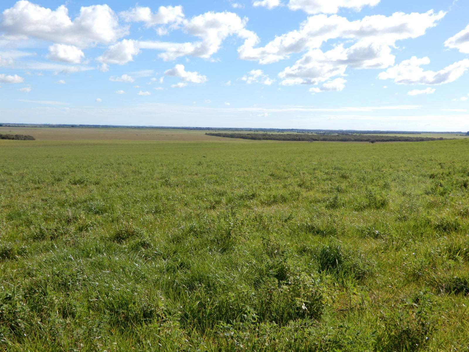 2329 Richardson Road, Field For Sale by Farmbuy.com - image 15