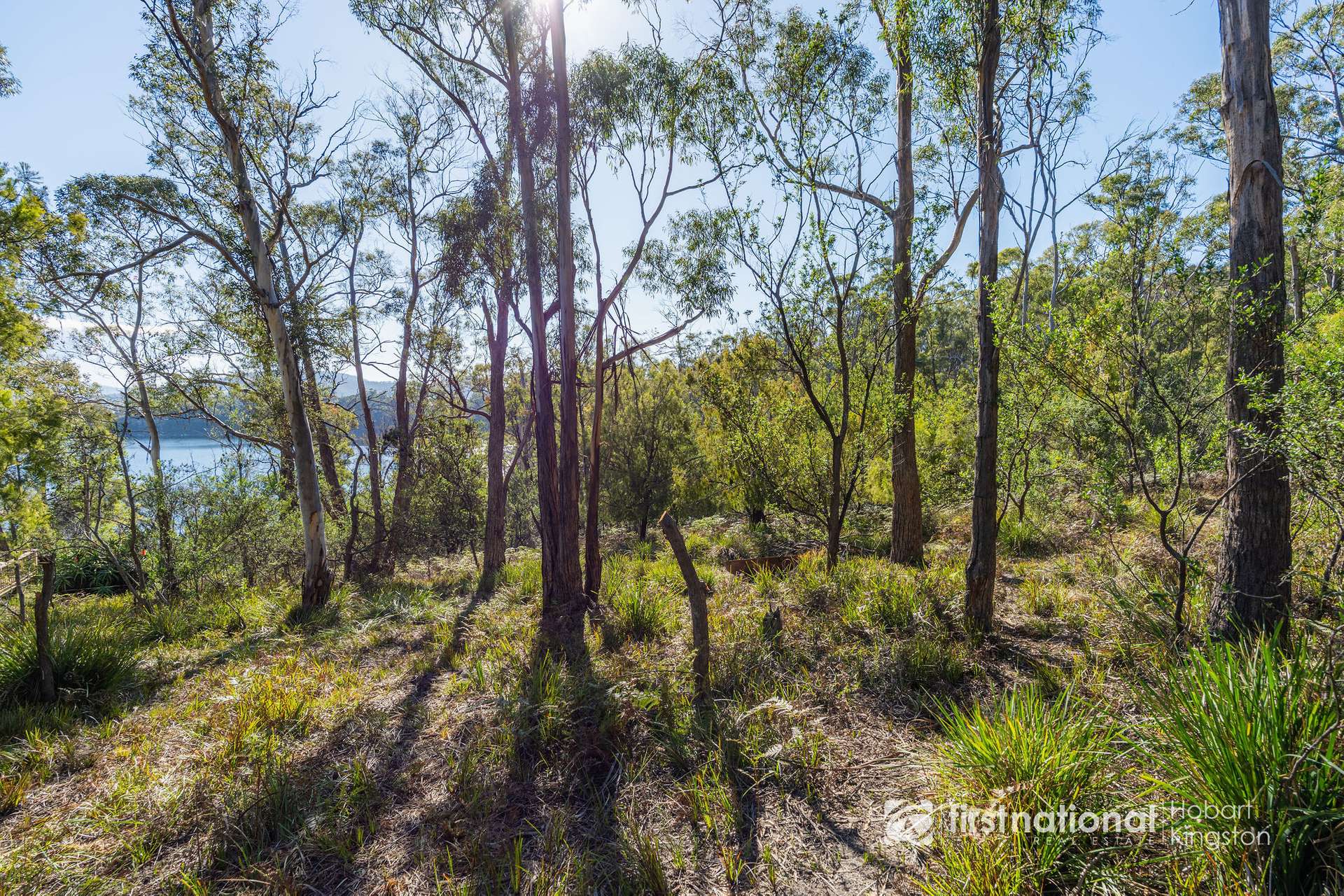 414 & 416 Nebraska Road, Killora For Sale by Farmbuy.com - image 30