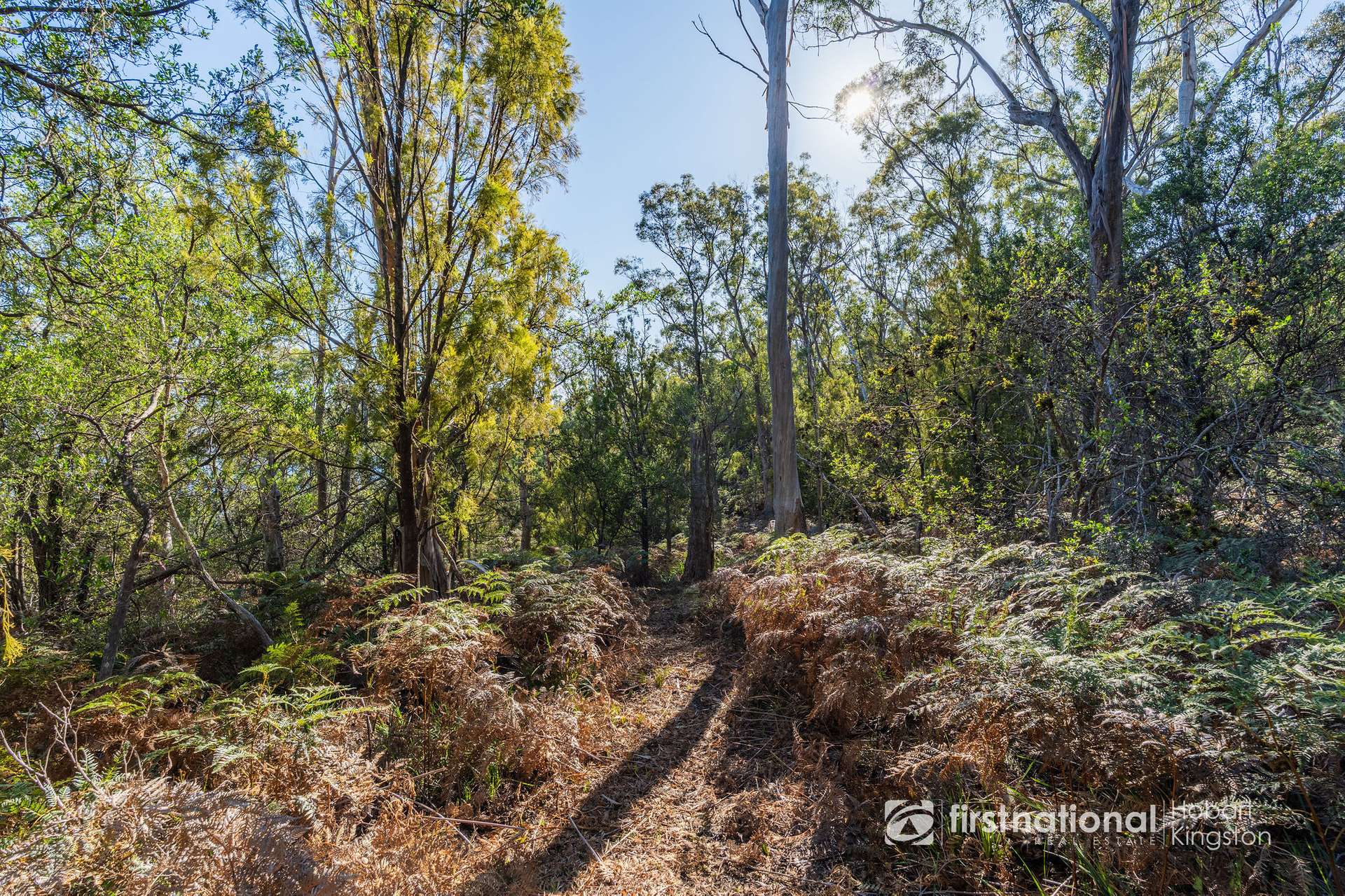 414 & 416 Nebraska Road, Killora For Sale by Farmbuy.com - image 27