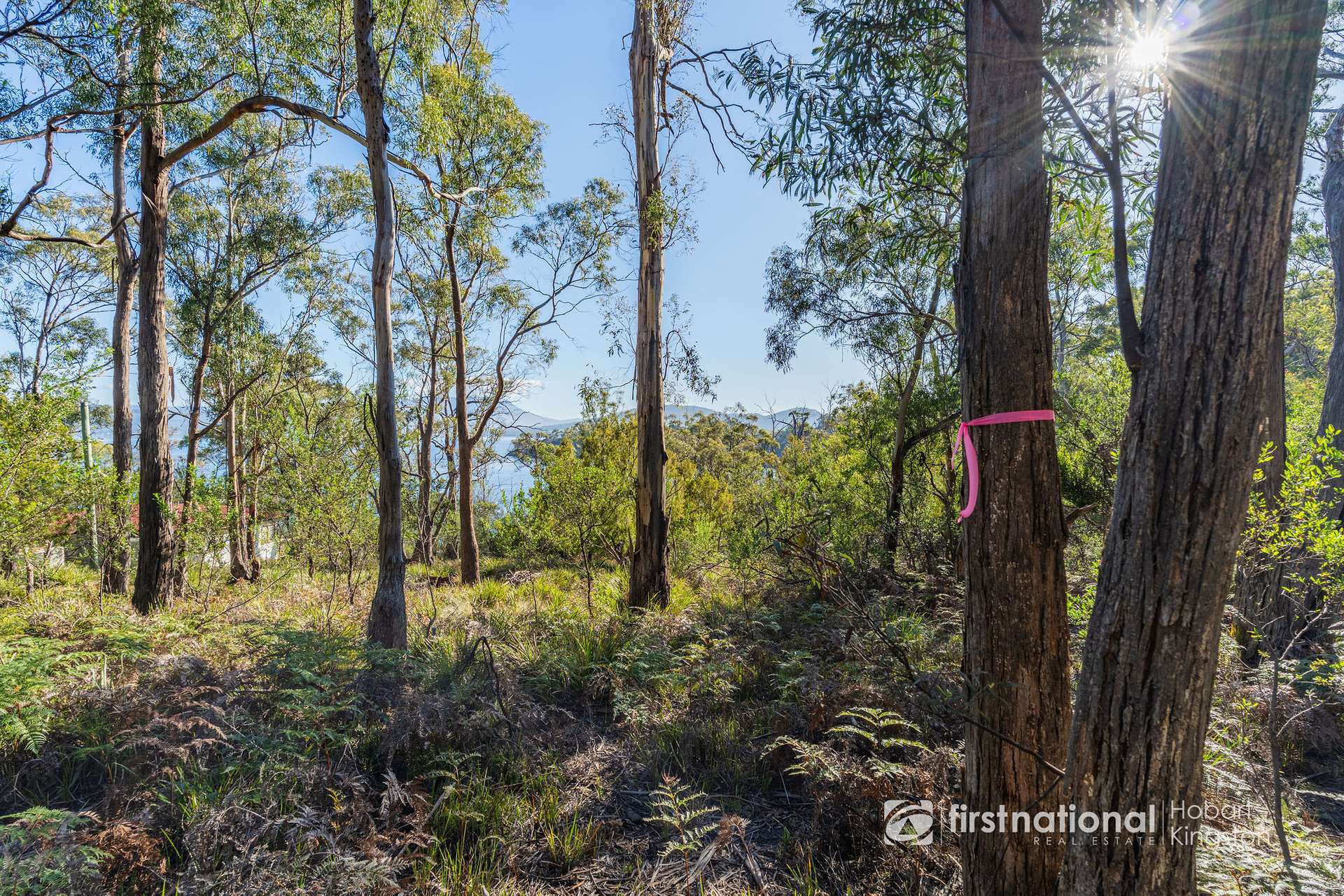 414 & 416 Nebraska Road, Killora For Sale by Farmbuy.com - image 25