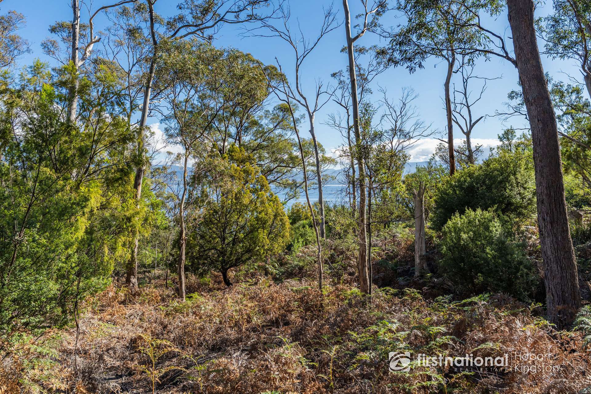 414 & 416 Nebraska Road, Killora For Sale by Farmbuy.com - image 31